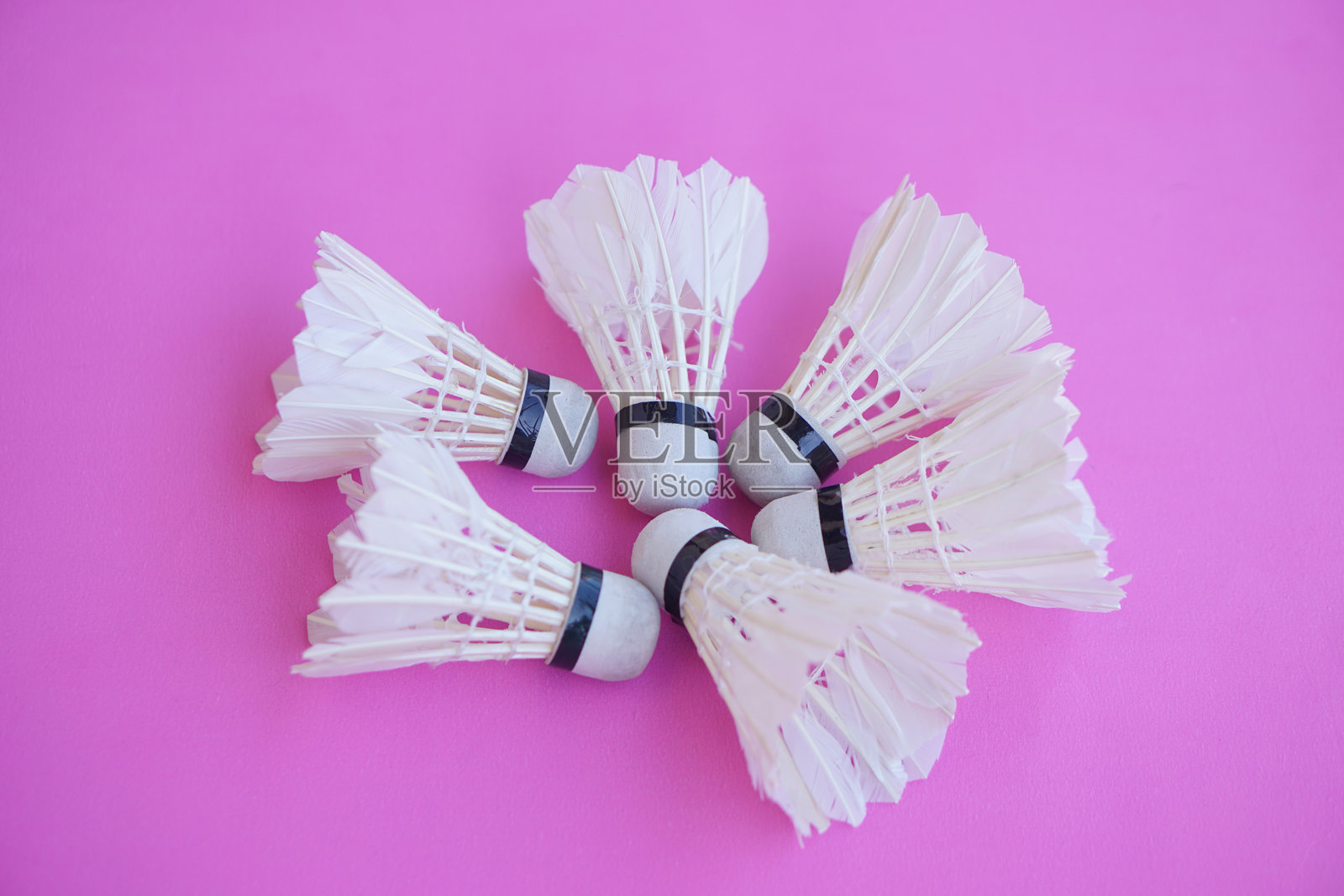 羽毛球。粉色背景上的羽毛球运动器材。健康的运动、锻炼和休闲活动的概念。适合所有性别的热门运动。照片摄影图片