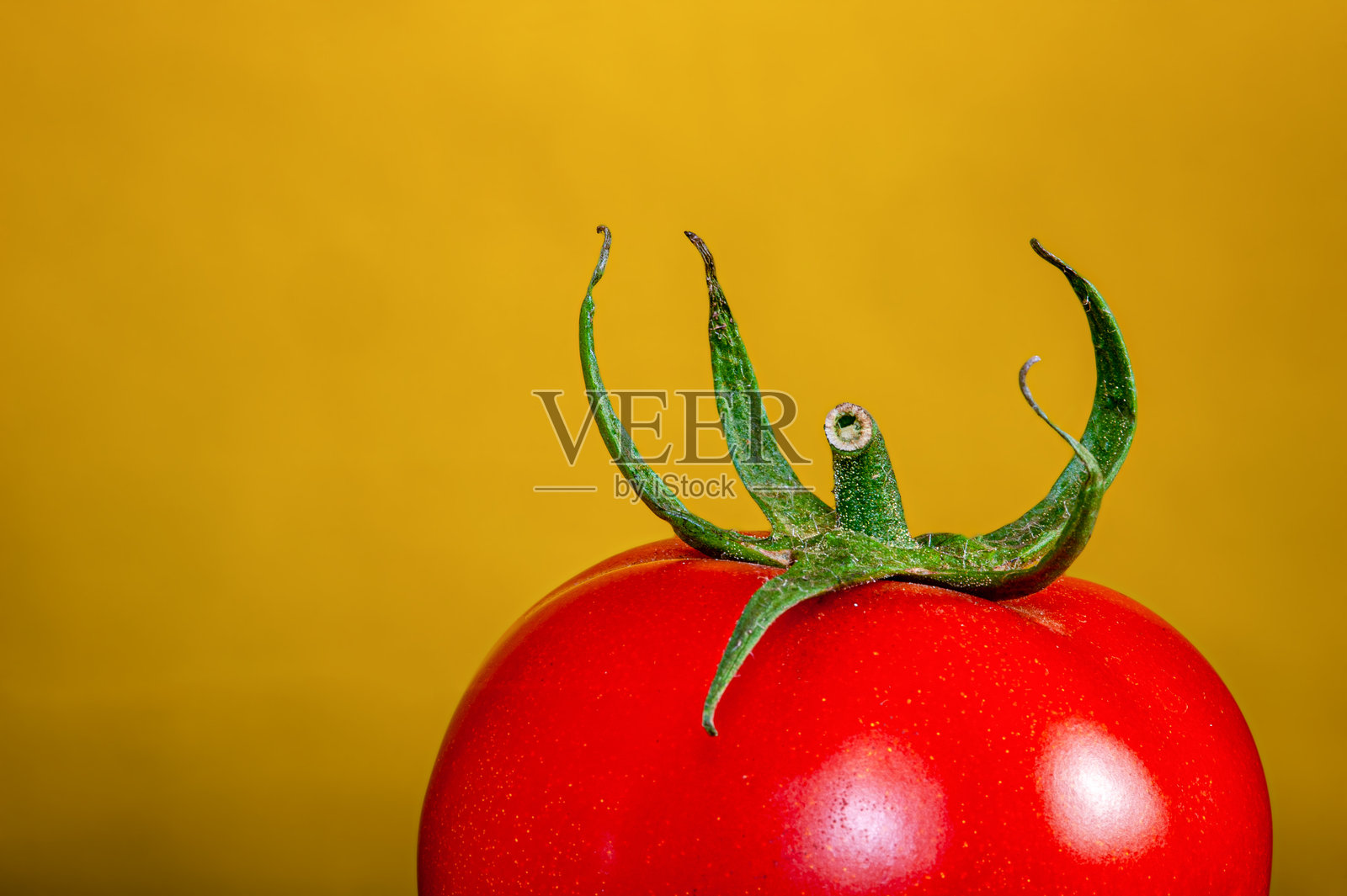 从上方看一个完整的番茄照片摄影图片