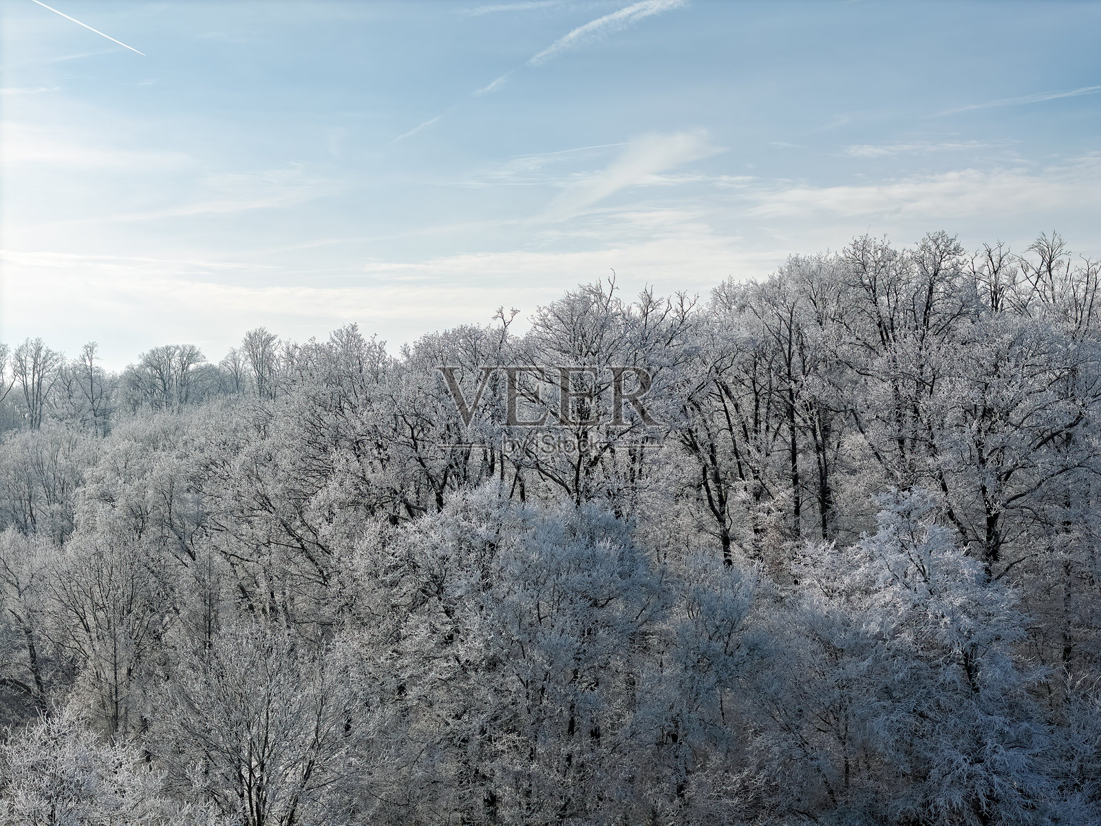 德国冬季风景，树木和田野上覆盖着冰霜，航拍镜头照片摄影图片
