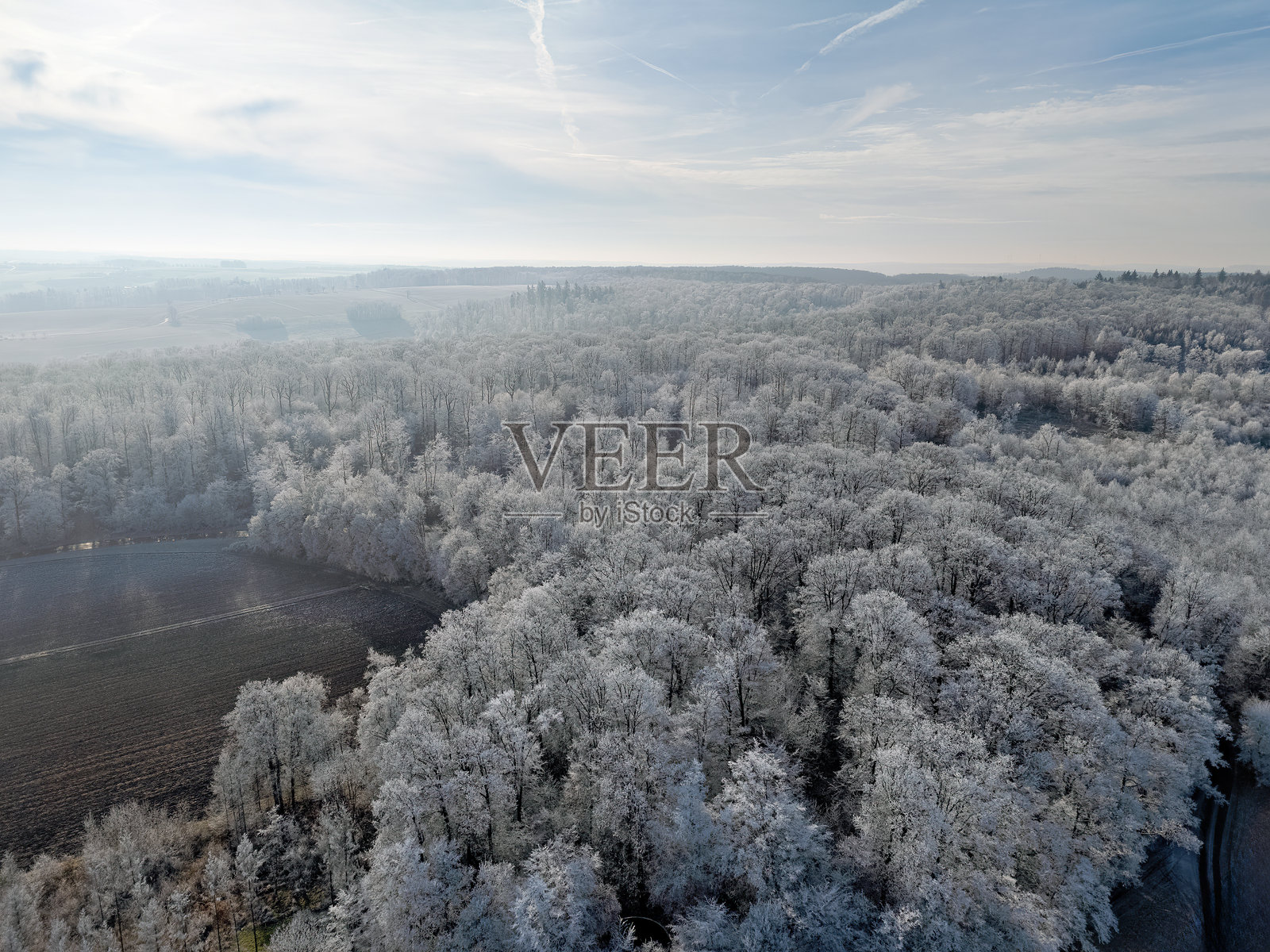 德国冬季风景，树木和田野上覆盖着冰霜，航拍镜头照片摄影图片