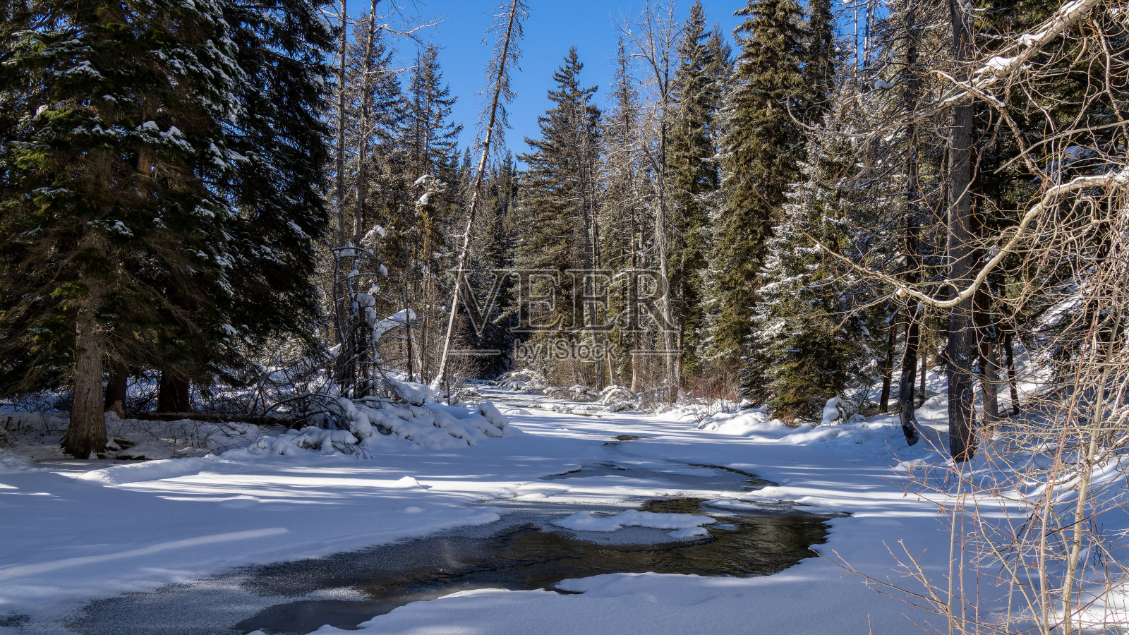 曼宁公园雪景照片摄影图片