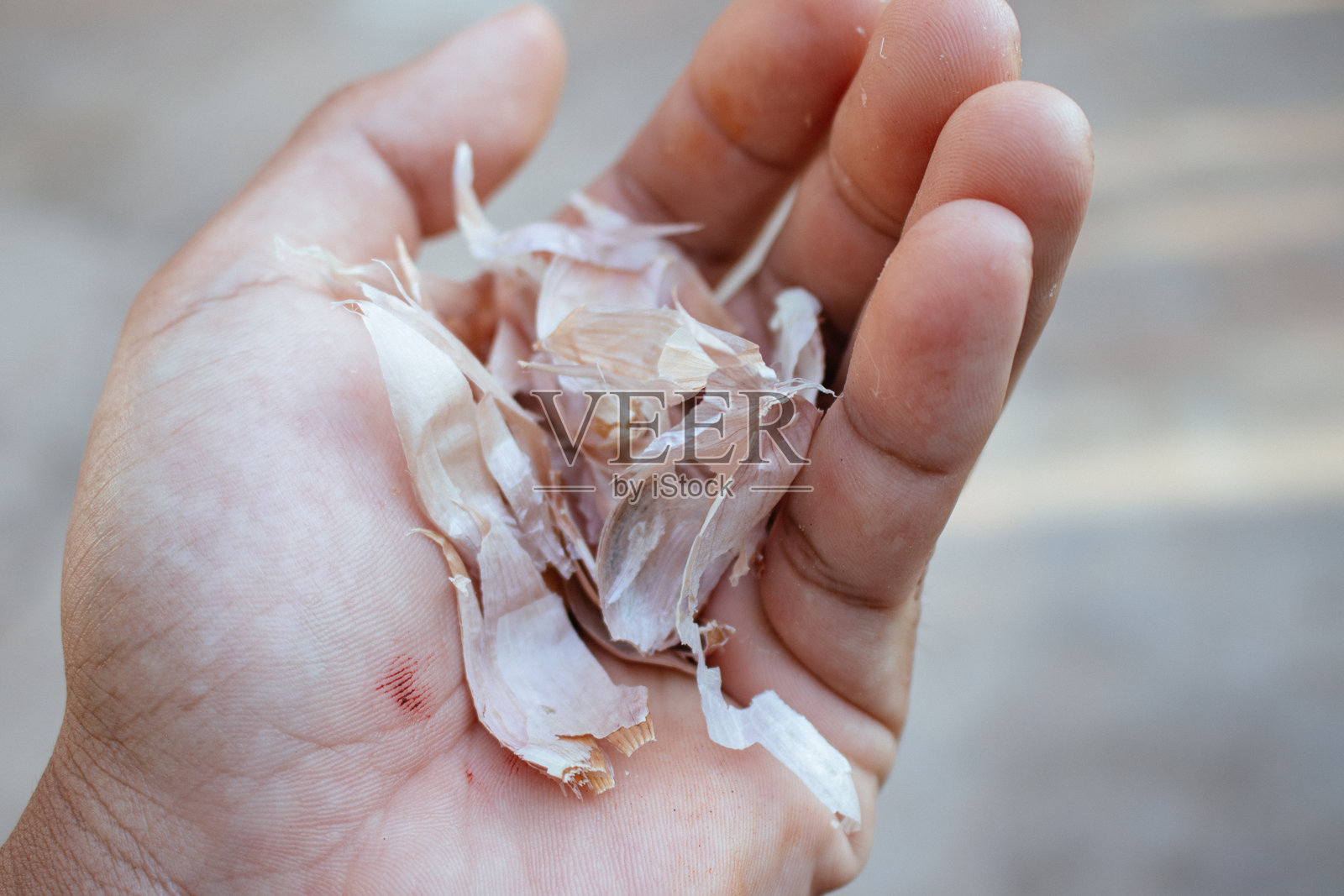 大蒜皮照片摄影图片