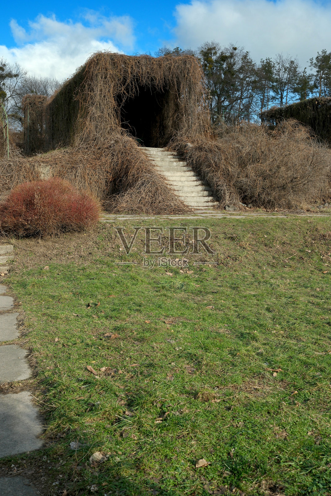 隐藏在自然怀抱中的隐秘入口吸引着探索者。照片摄影图片