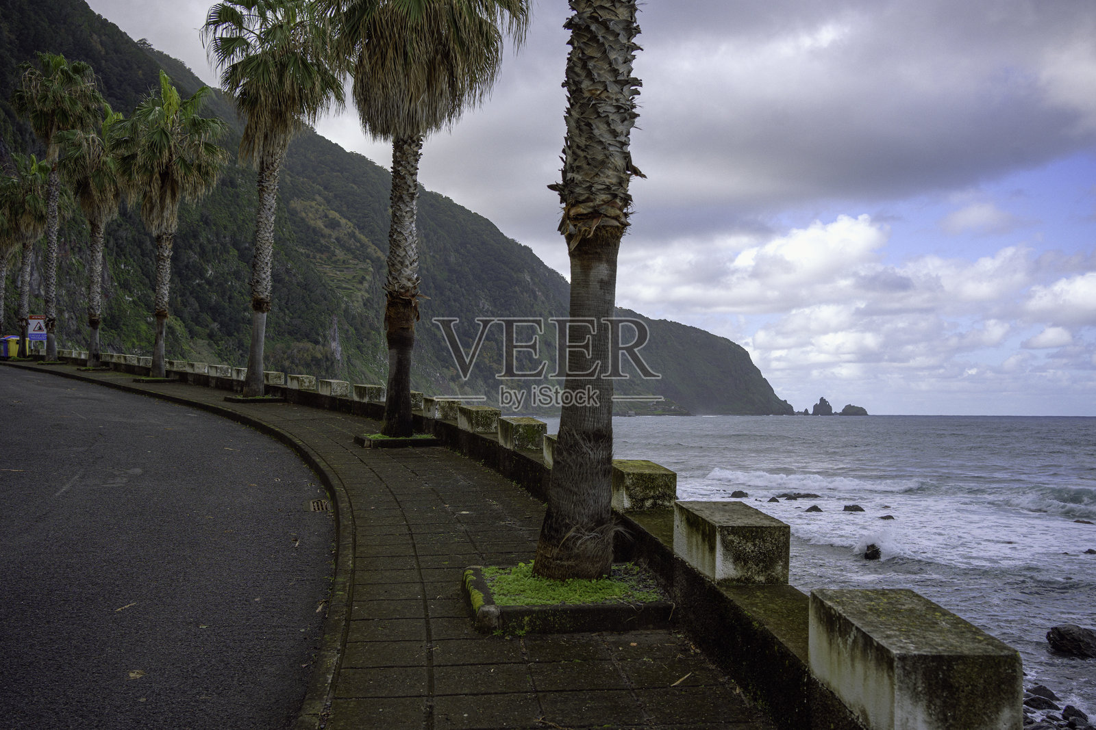 马德拉异域旅行。棕榈树环绕的海岸公路，海洋与悬崖照片摄影图片