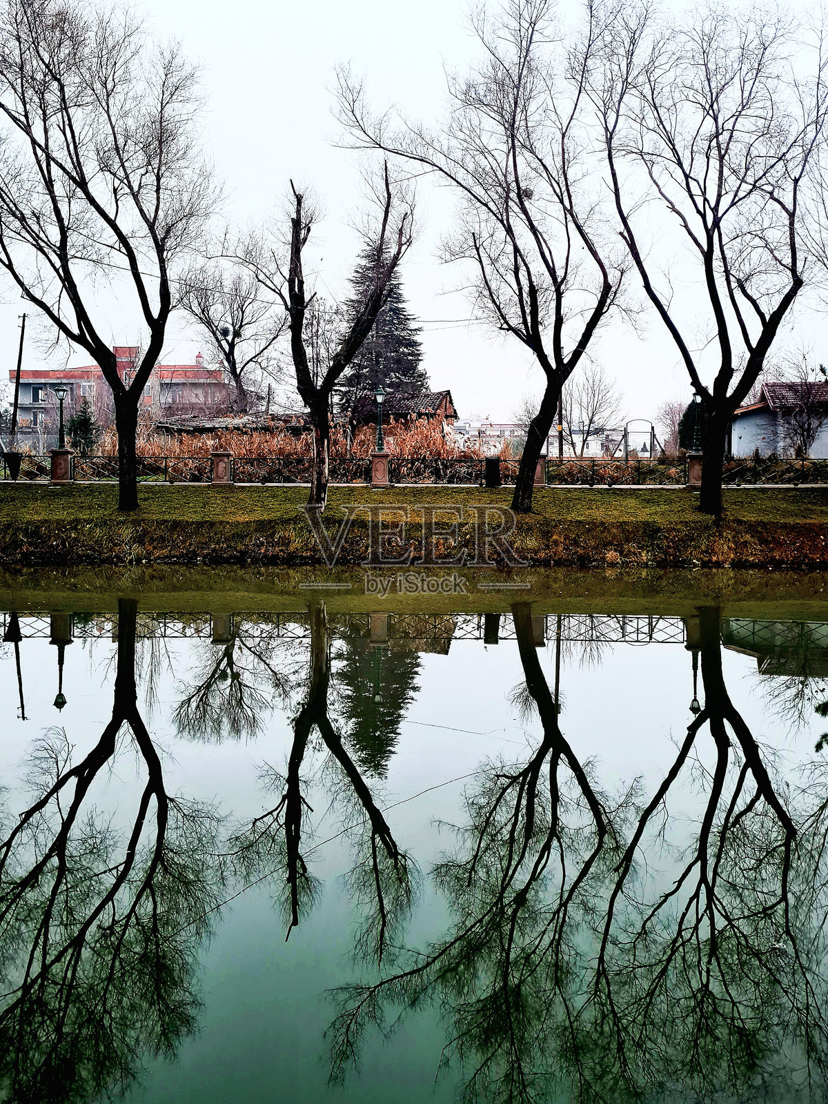 水边树木的倒影照片摄影图片