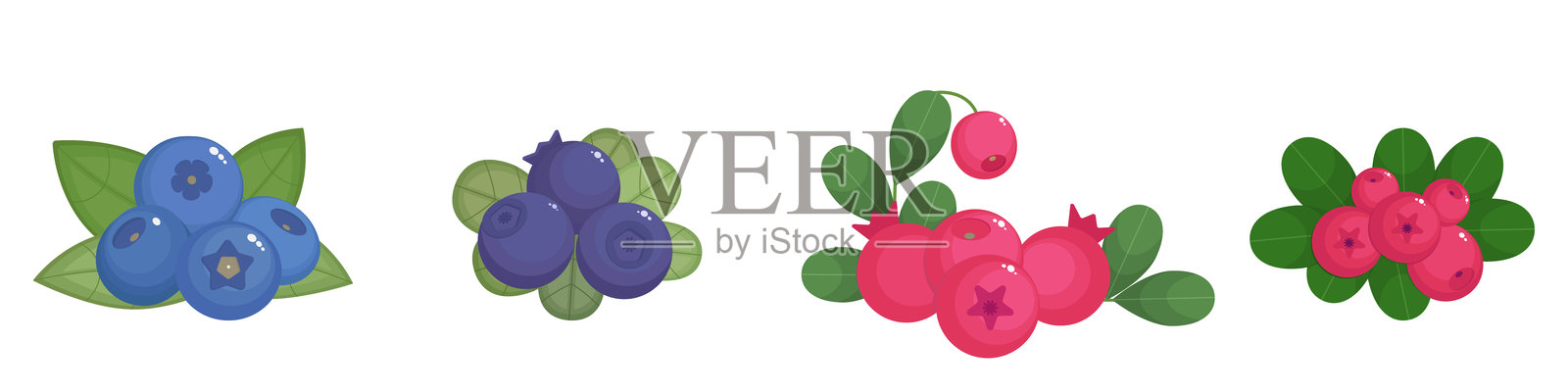蔓越莓、红莓、越橘和蓝莓在白色背景上孤立。石楠科浆果的集合。矢量插图，彩色图标，设计元素。插画图片素材