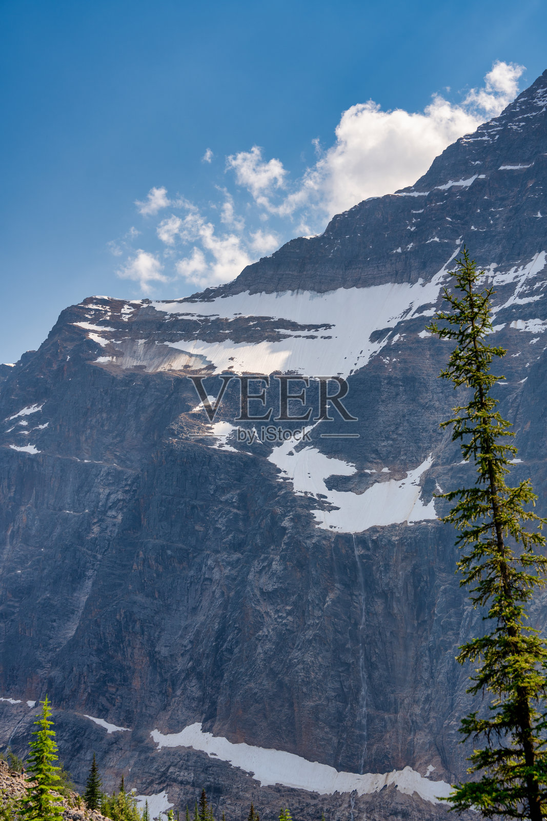 贾斯珀国家公园中清澈透明的艾迪丝·卡维尔湖，宁静的自然避世之所照片摄影图片