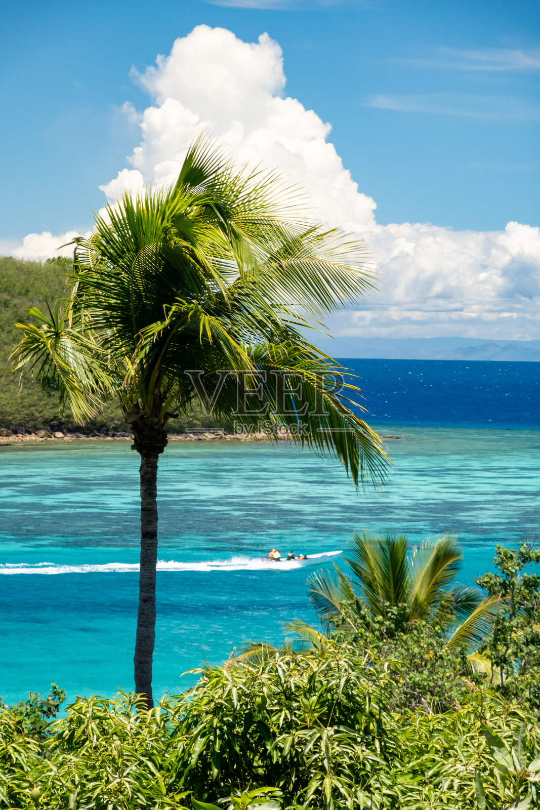 一个热带岛屿，郁郁葱葱的植被和椰子树俯瞰着广阔的海洋，天空明亮而晴朗。照片摄影图片