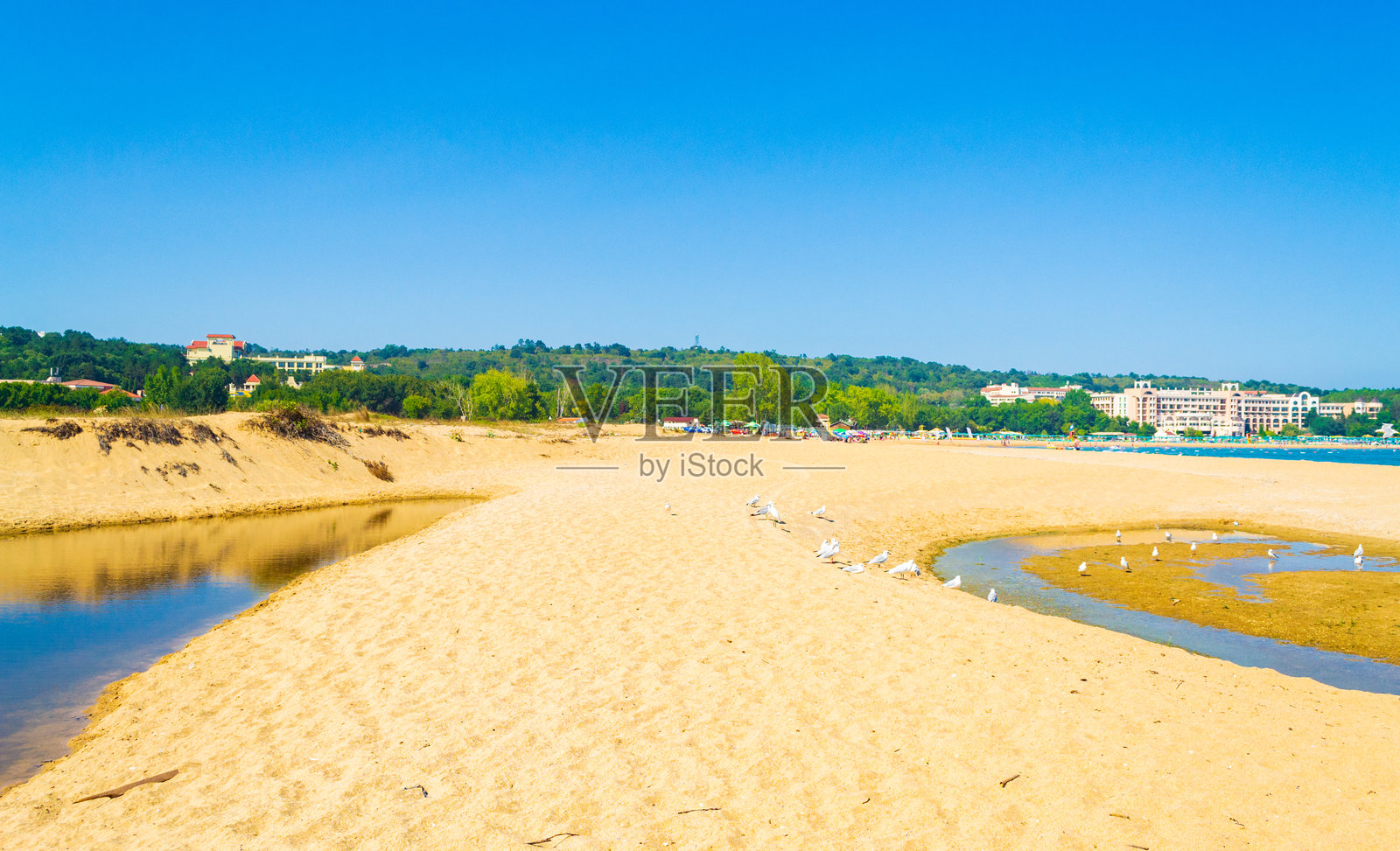 保加利亚迪尤尼海滩和阿莱普沼泽的景观照片摄影图片