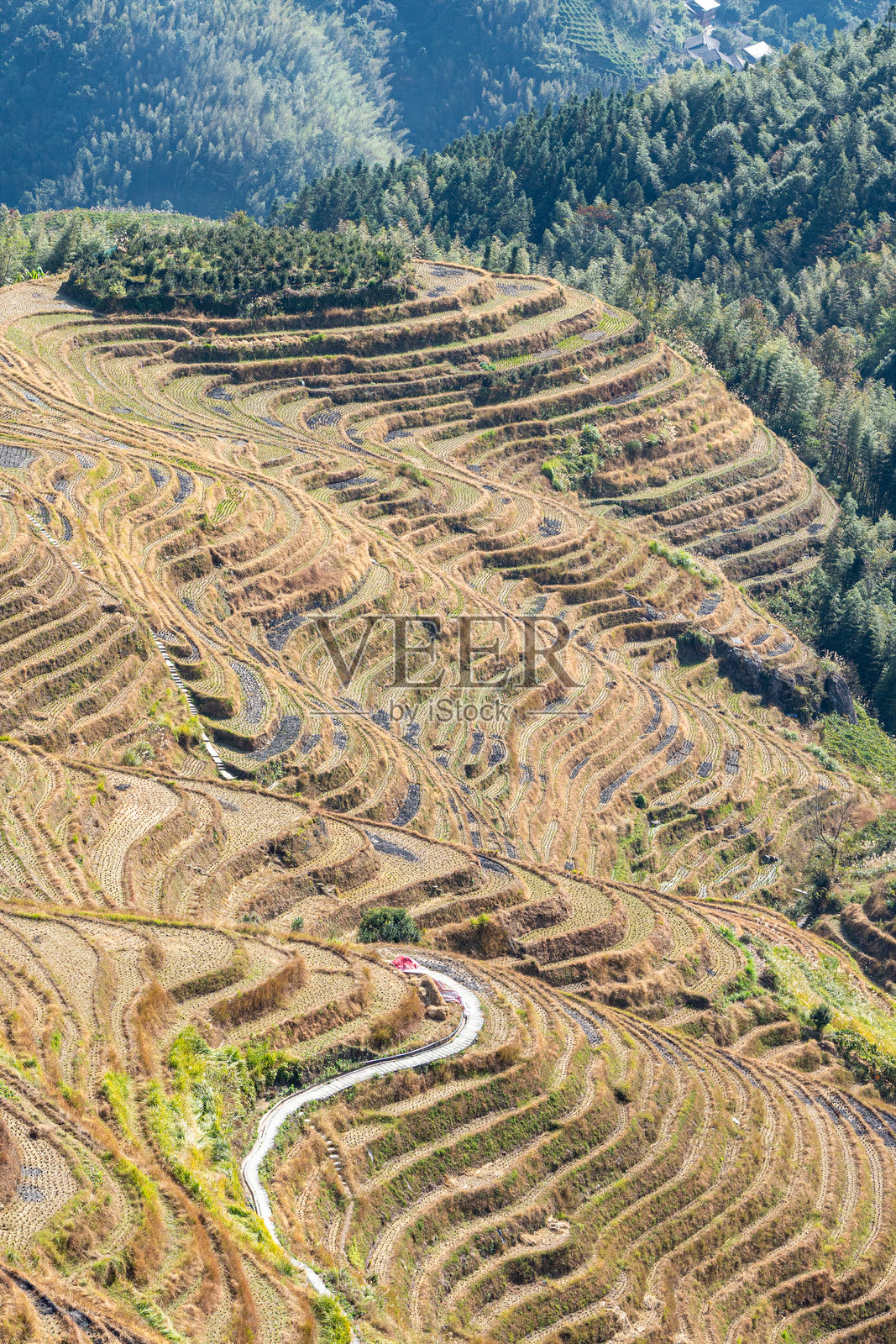 中国亚洲龙脊的著名龙胜梯田照片摄影图片