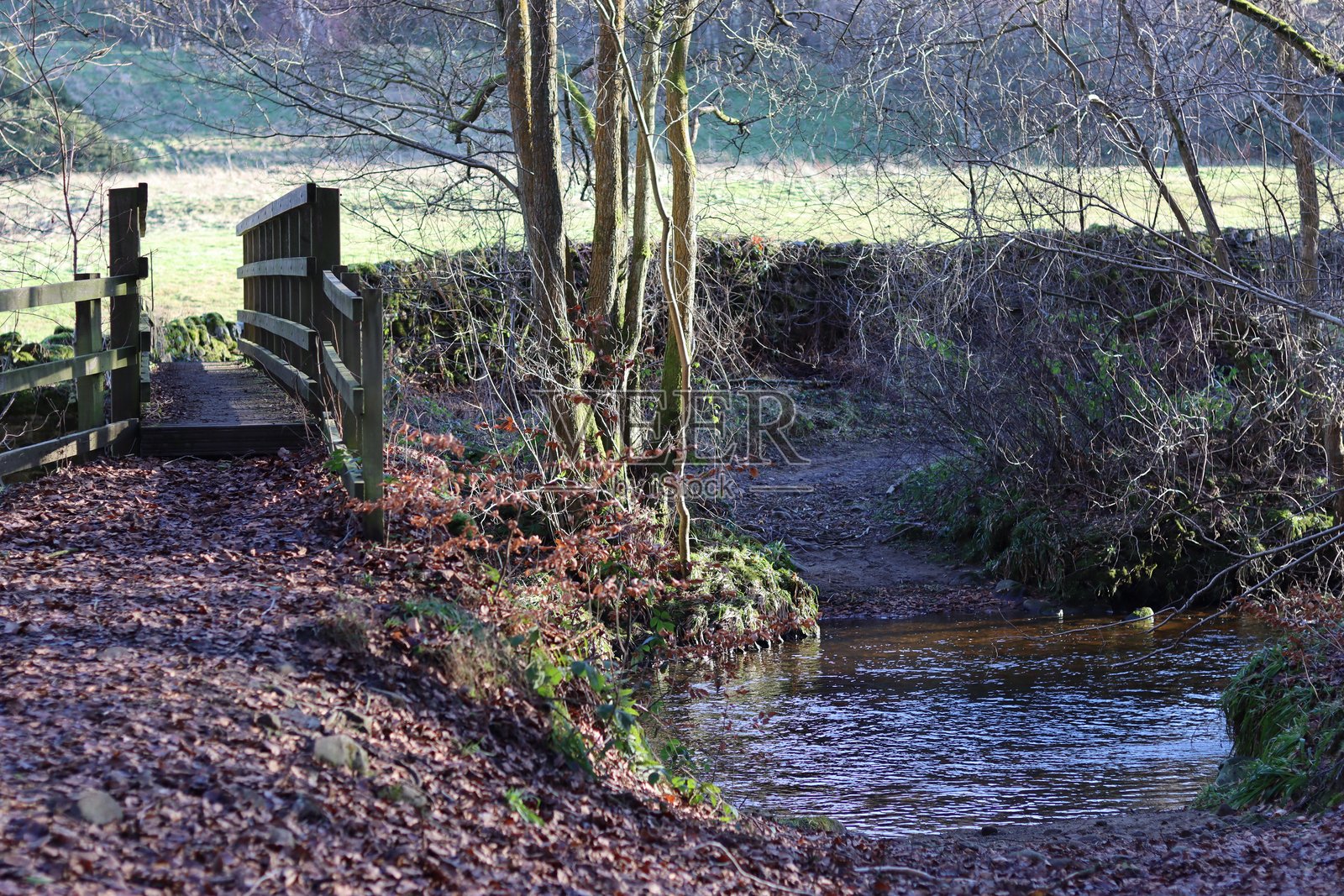 冬季森林河流上的人行天桥照片摄影图片