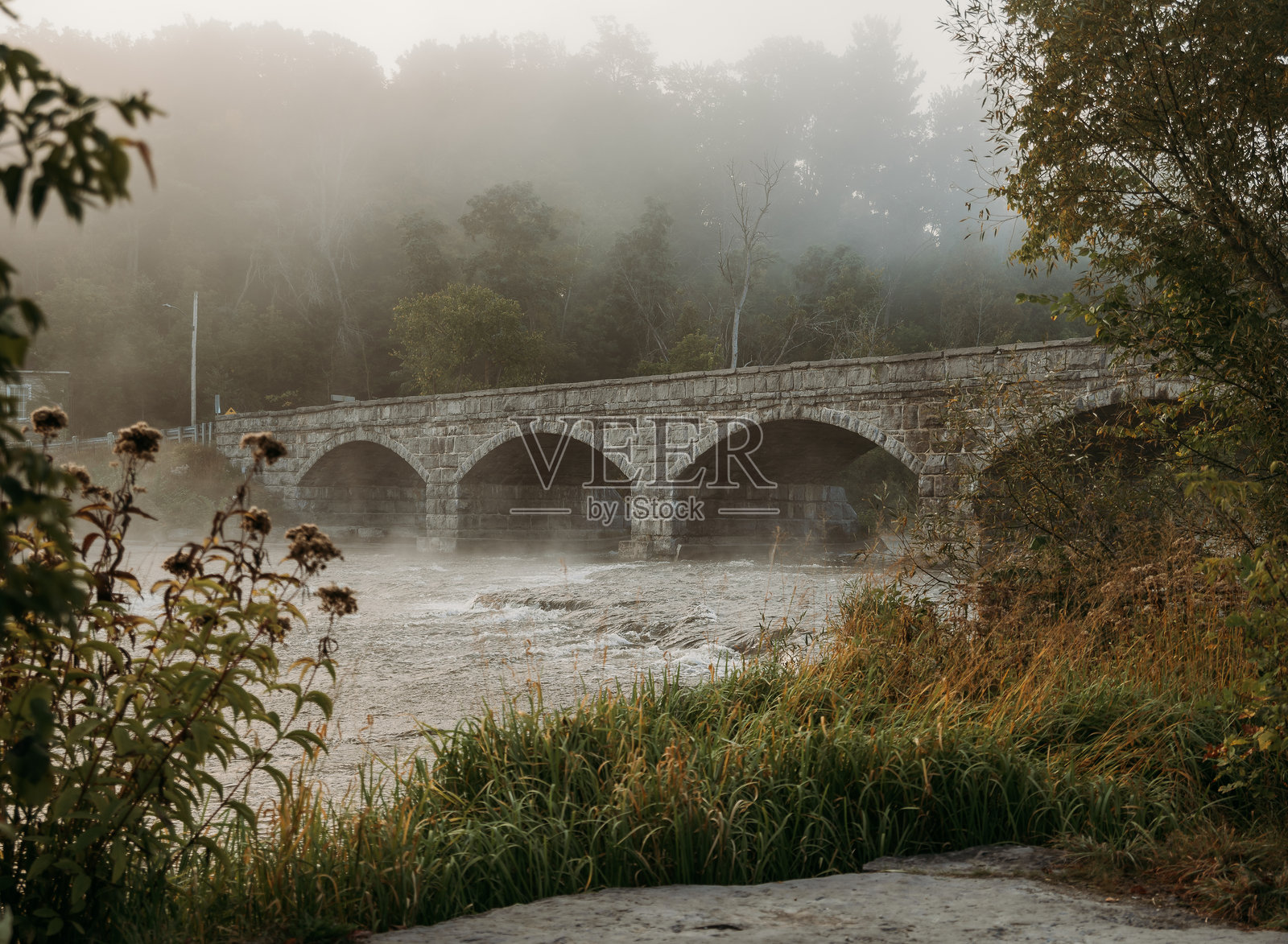 清晨的宁静拥抱照片摄影图片