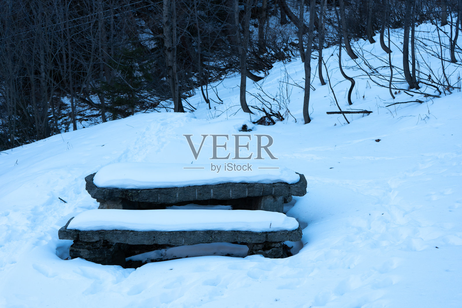 雪中的长椅照片摄影图片