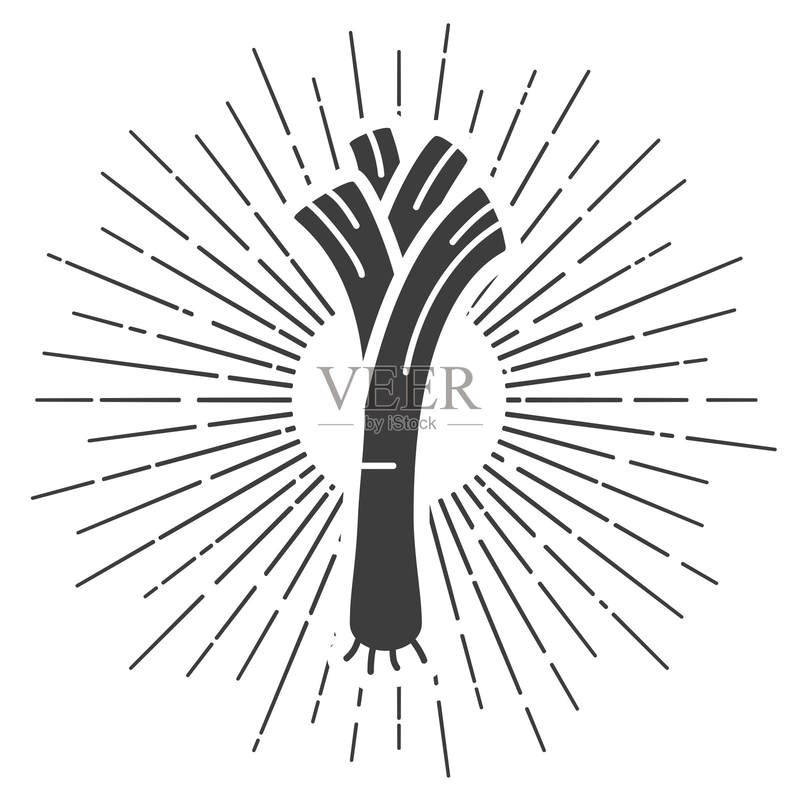 韭菜。白色背景上的太阳光辉图标插画图片素材