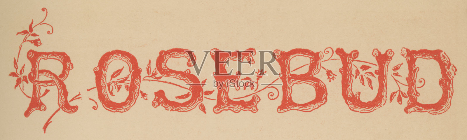 新艺术风格的玫瑰花蕾 - 19世纪插画图片素材