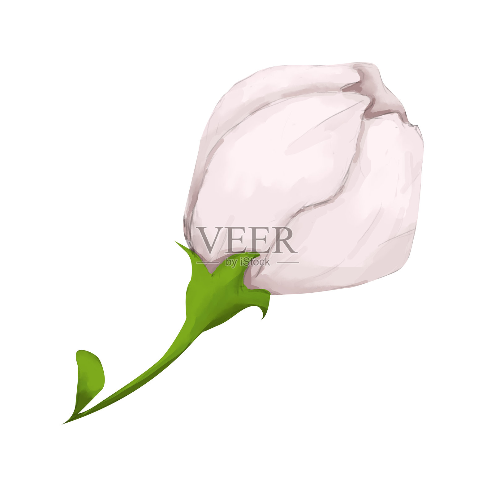 插图：苹果树花蕾，粉色，适用于印刷、网页和纺织品的剪贴画插画图片素材