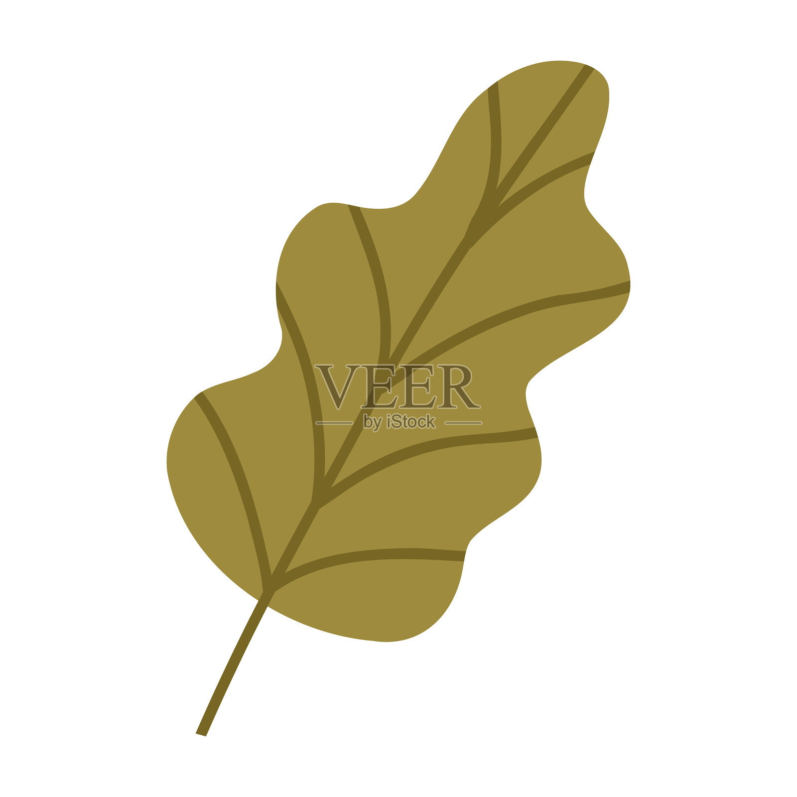 可爱的手绘秋叶，卡通平面矢量插图，背景为白色。插画图片素材