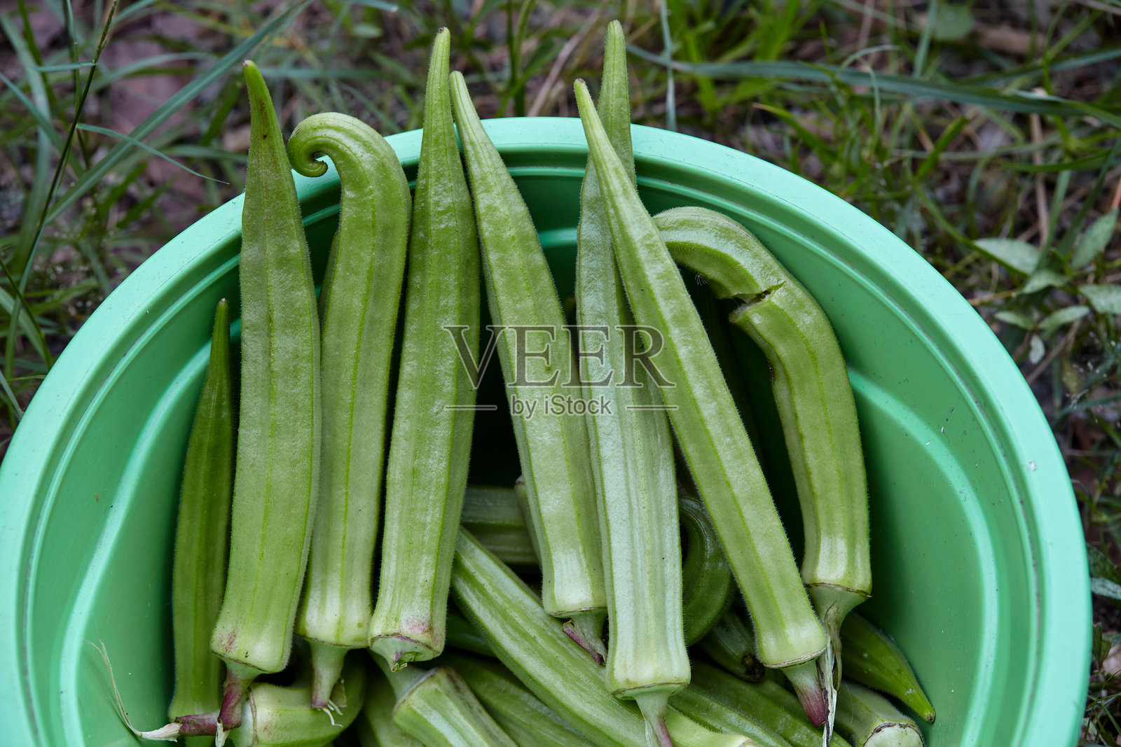 碗中的秋葵特写视图照片摄影图片