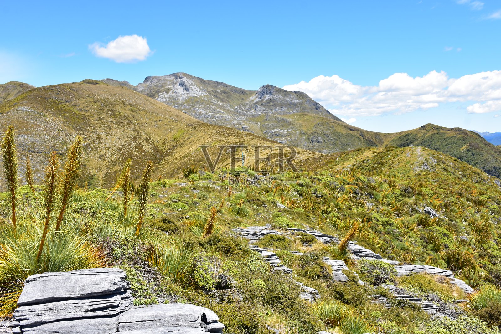 阿瑟山，卡胡朗吉国家公园，靠近莫图埃卡，新西兰照片摄影图片