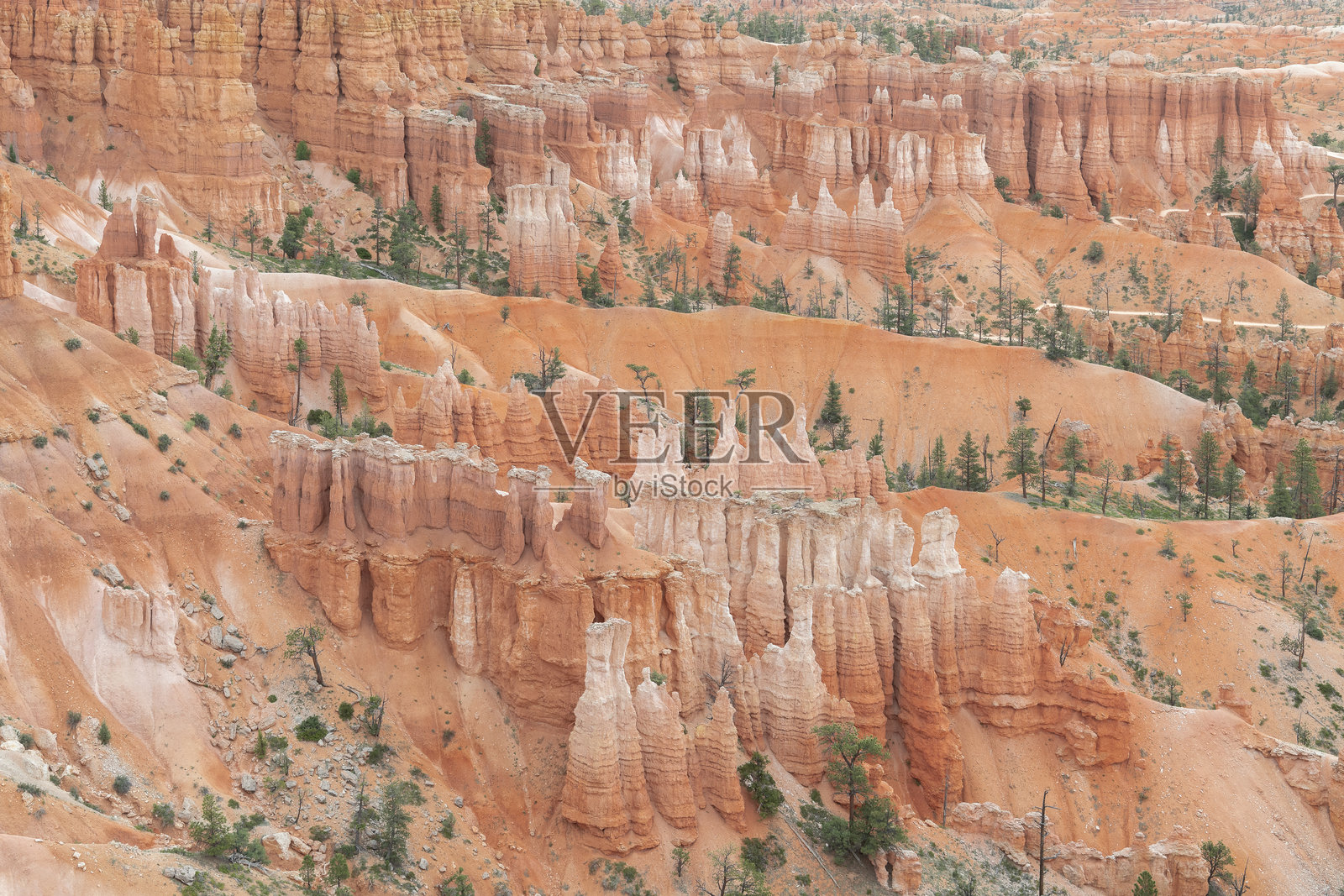 犹他州布莱斯峡谷国家公园的石柱群照片摄影图片