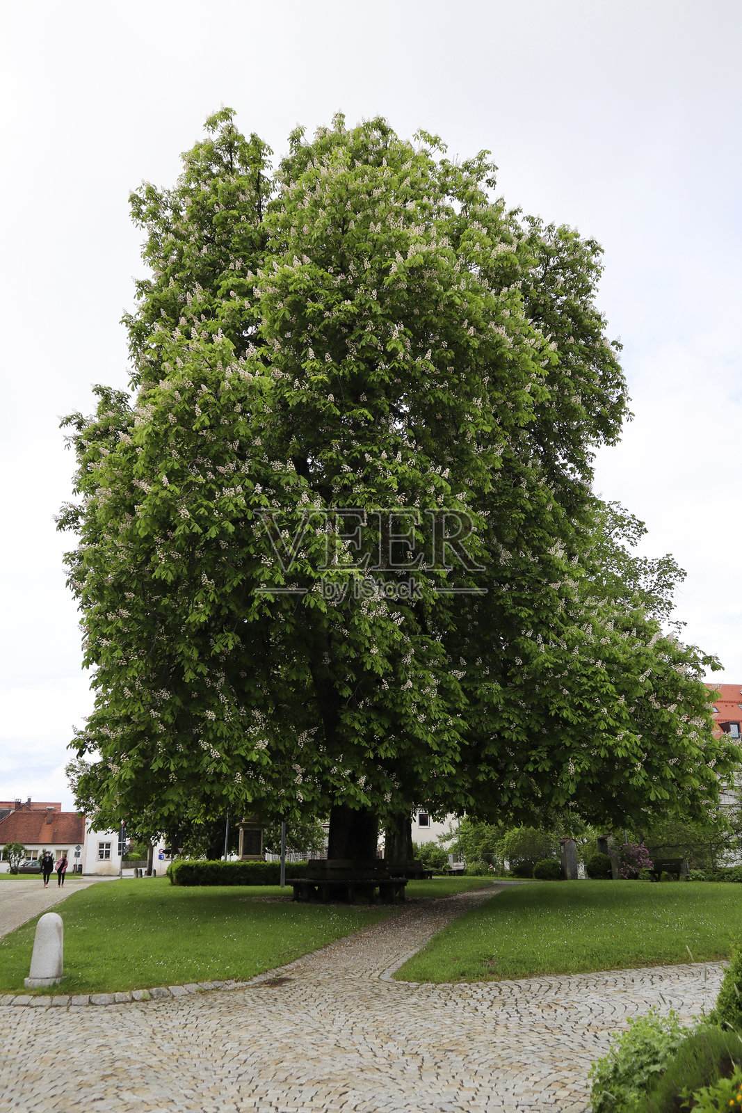罗滕布赫朝圣教堂，慕尼黑圣雅各之路，巴伐利亚，德国照片摄影图片