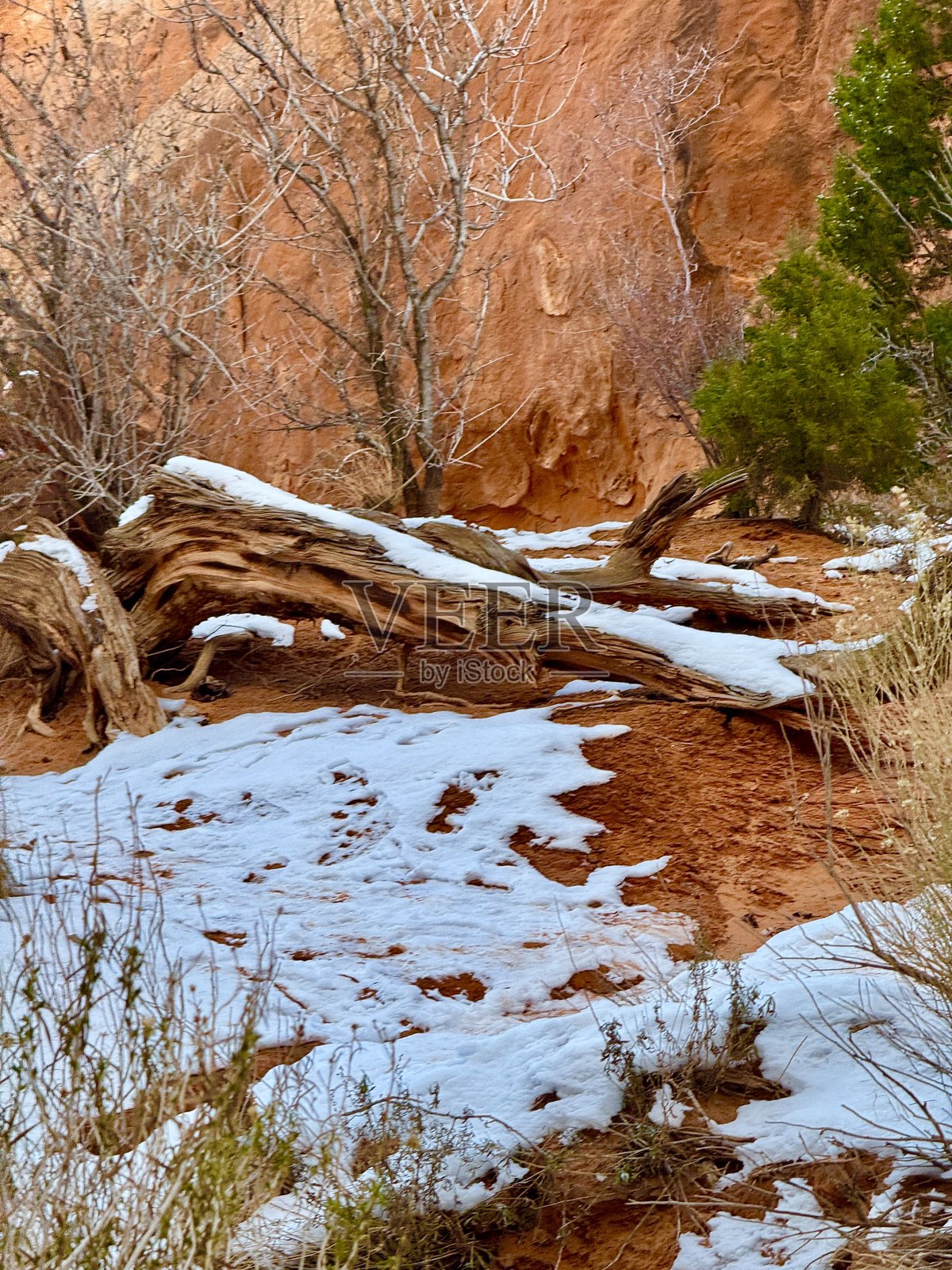 犹他州拱门国家公园照片摄影图片