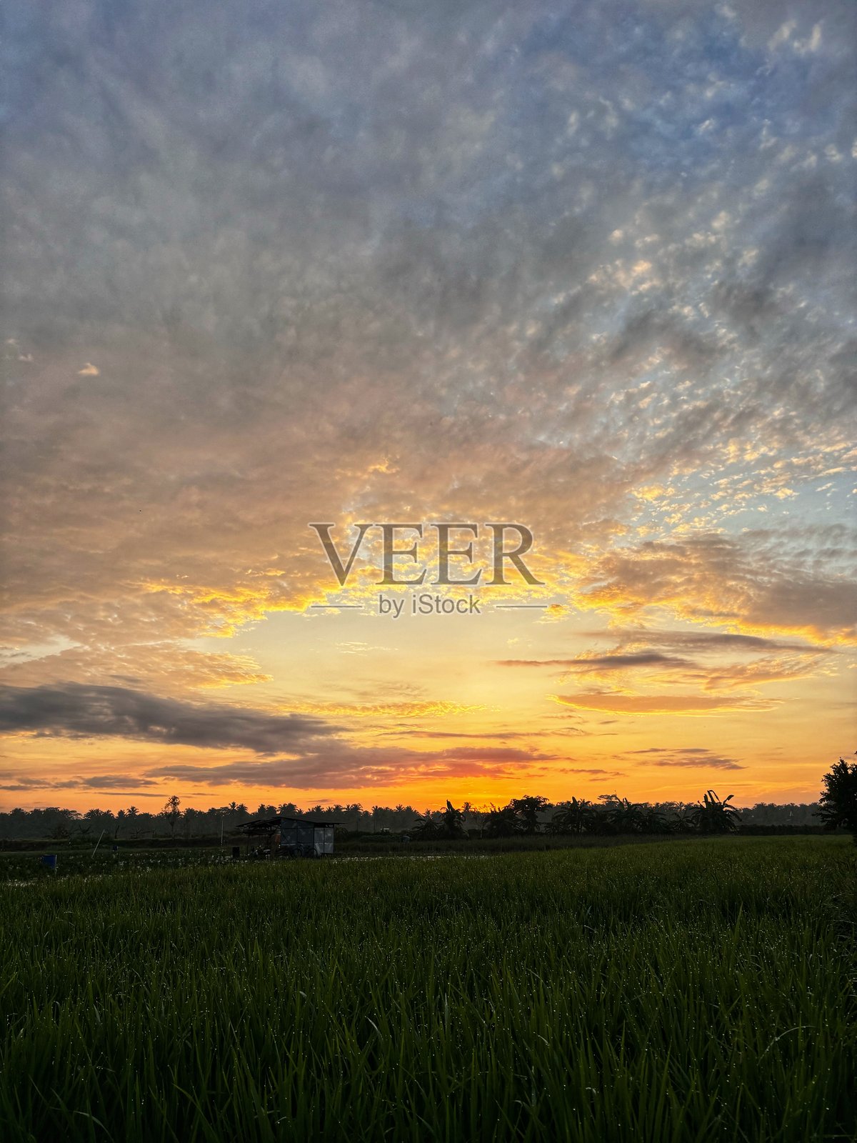 美丽的晨空与云彩照片摄影图片