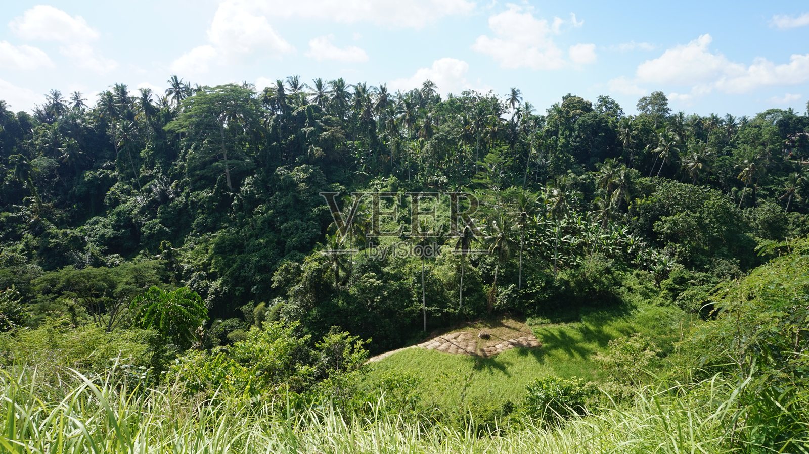 印尼巴厘岛乌布的坎普汉岭步道丛林景观照片摄影图片