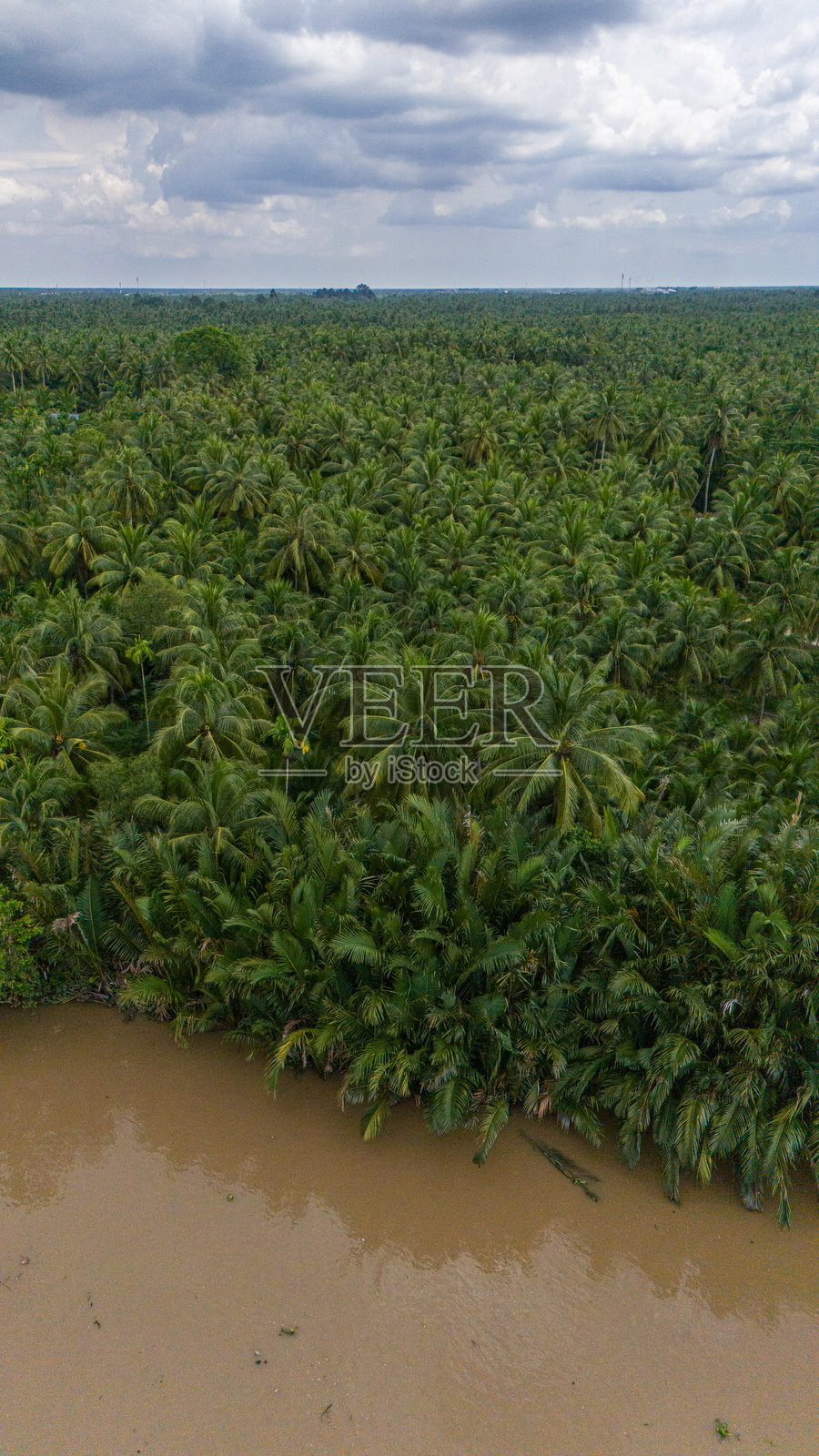湄公河三角洲的越南森林鸟瞰图。典型的越南小船。越南照片摄影图片