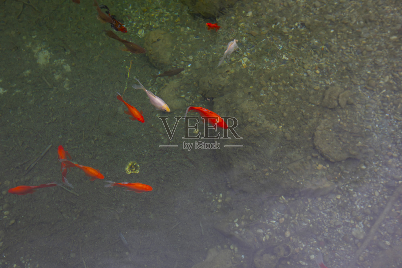 伊斯坦布尔贝伊利克杜兹生活谷照片摄影图片