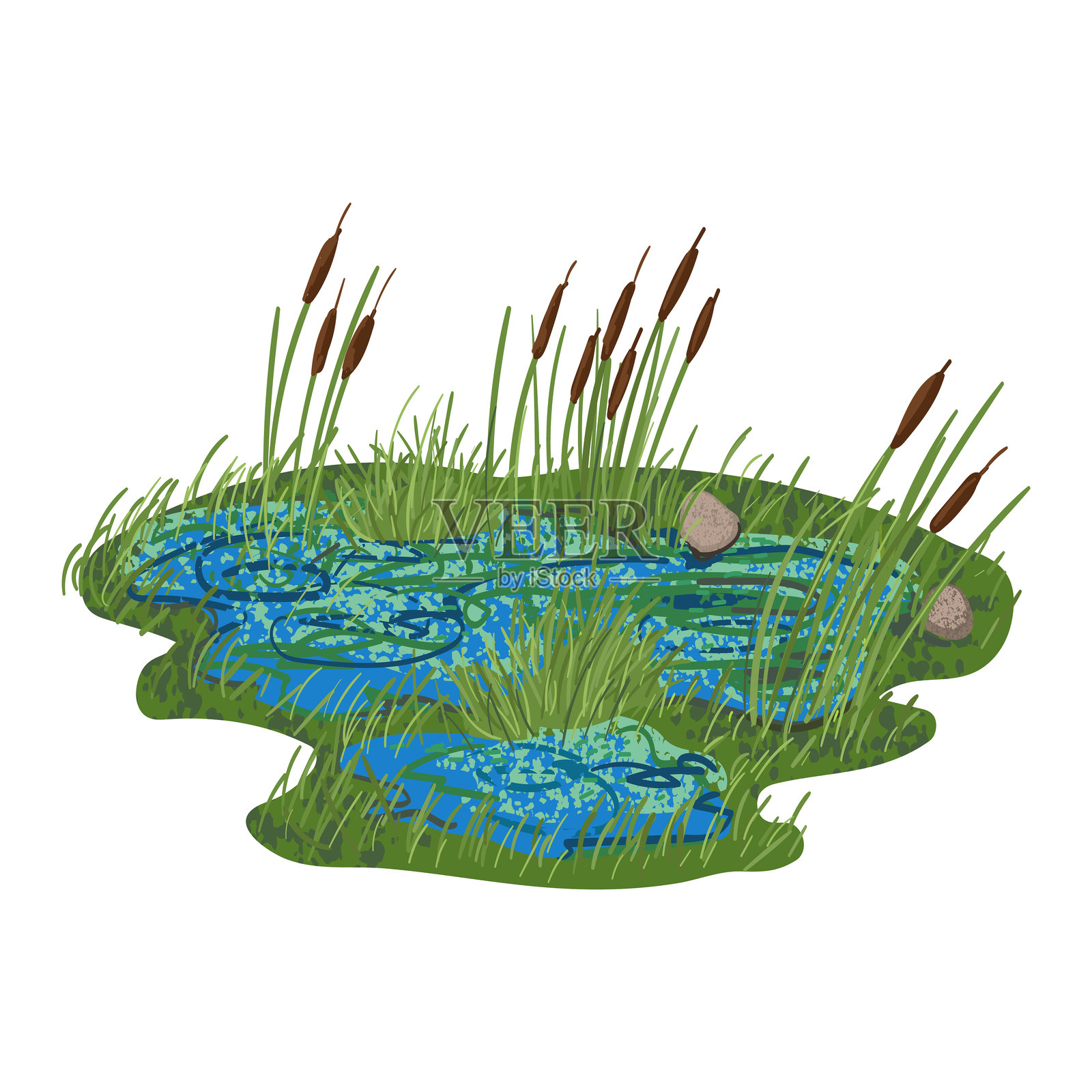 沼泽的彩色插图插画图片素材
