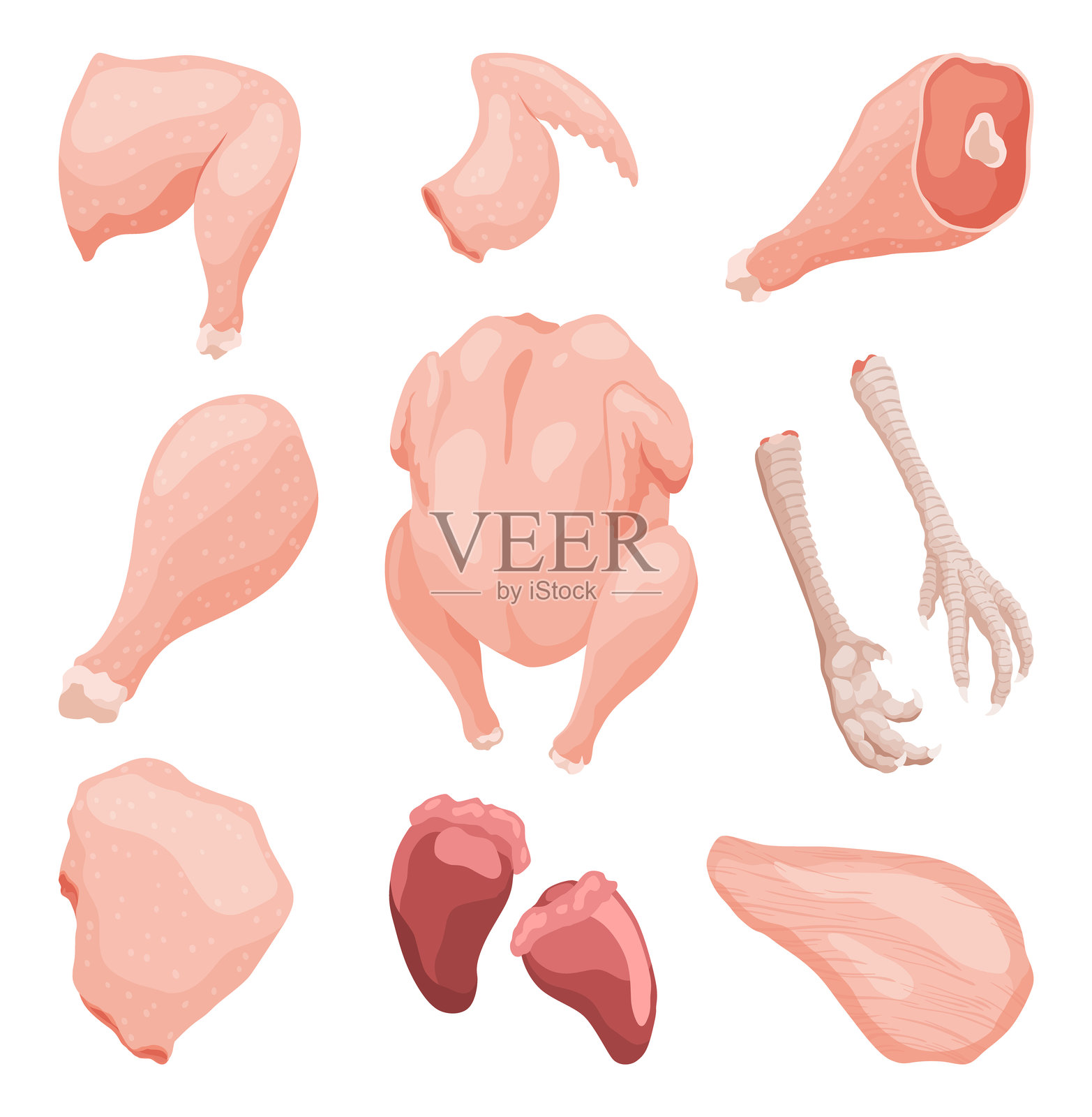 一幅教育插图展示了生鸡肉的各种切割和部位插画图片素材