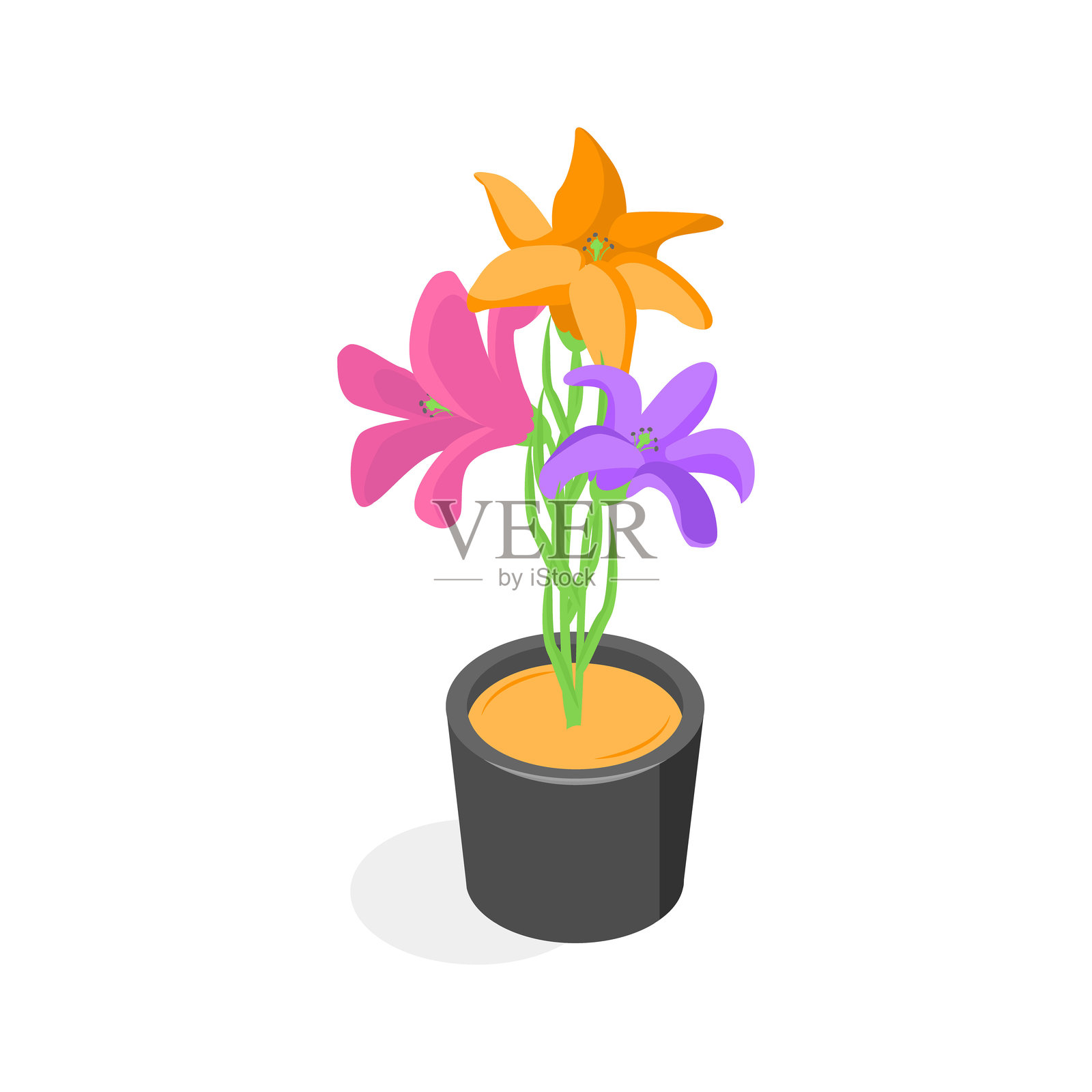 盆栽花卉插画图片素材