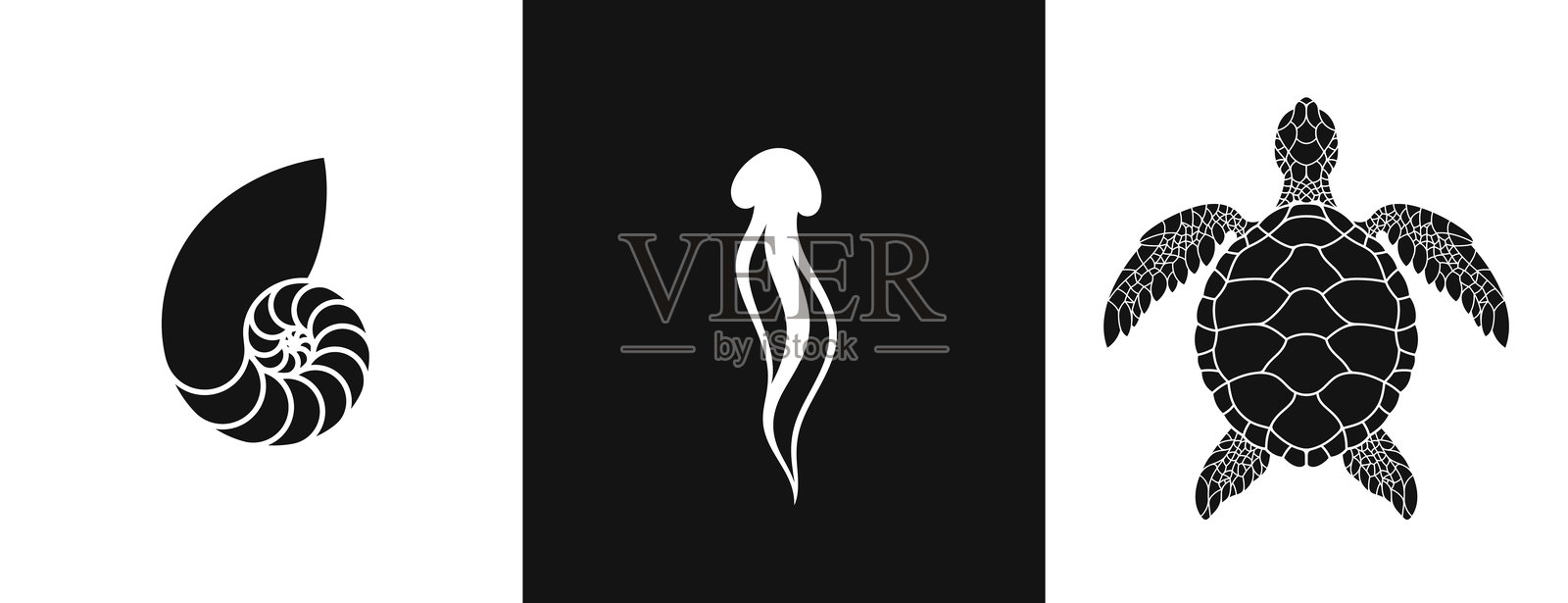 海洋生物剪影。孤立的水母、鹦鹉螺壳和海龟。澳大利亚的野生动物插画图片素材