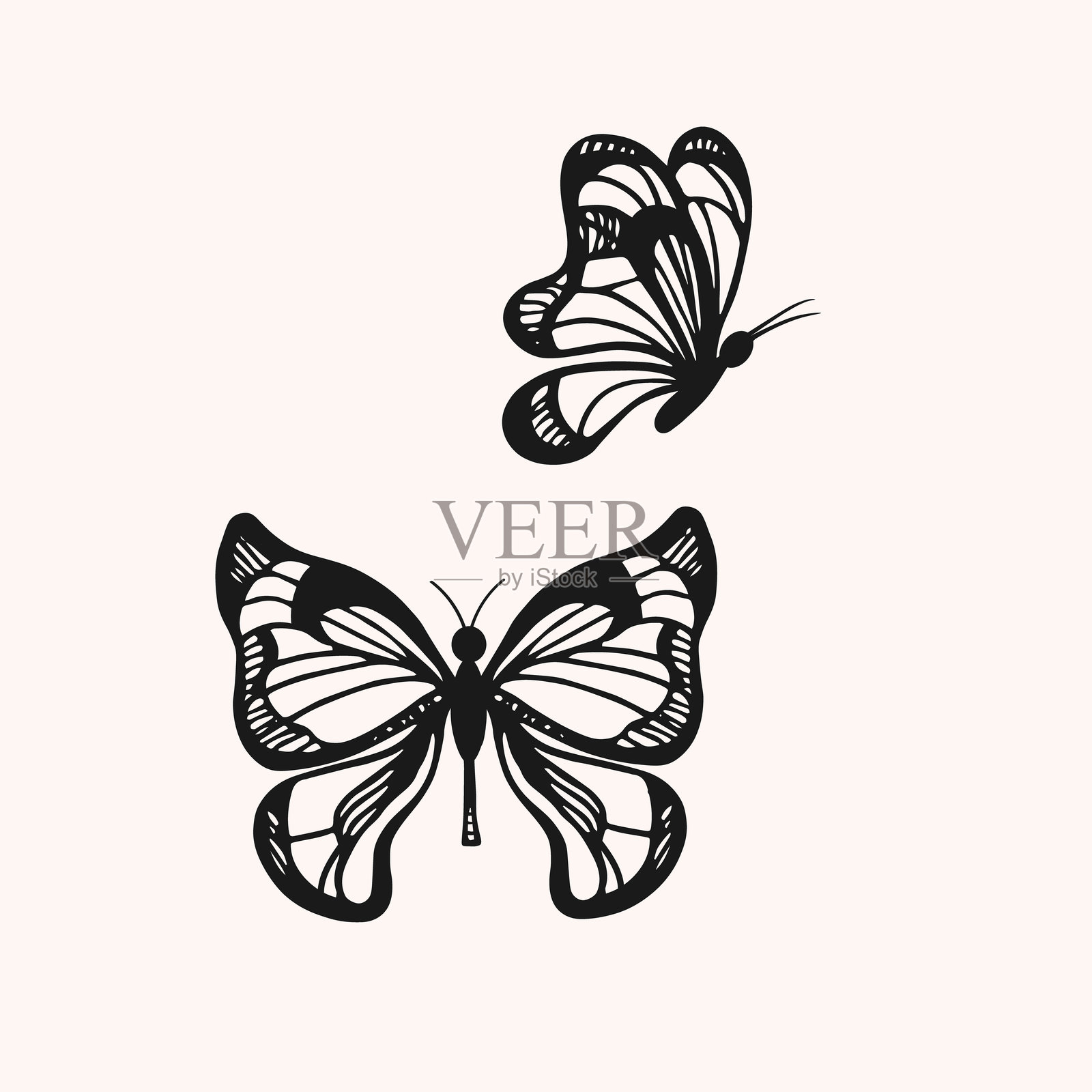 带有蝴蝶的矢量素描，背景为单色。手绘插图，展示飞舞的蛾子，适用于纹身、图标、标志、印刷、卡片和纸张。动物，野生动物，美丽。插画图片素材