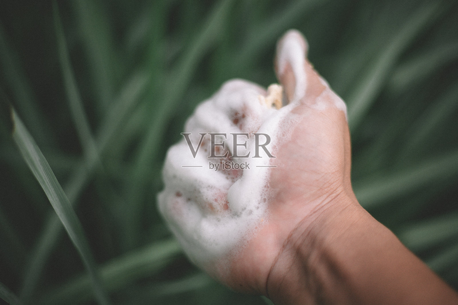 手中的泡沫照片摄影图片