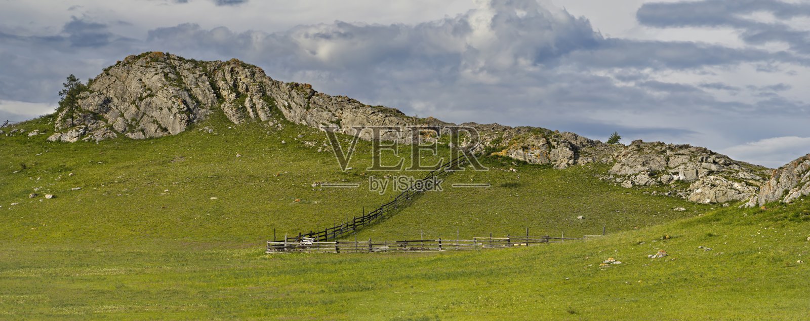 阿尔泰山的绿色草甸照片摄影图片
