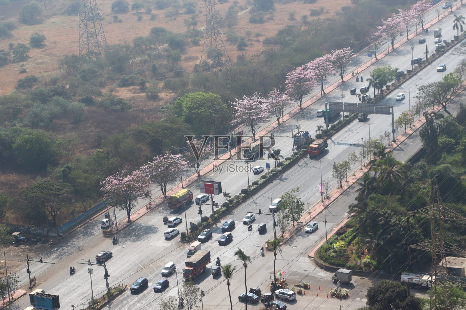 孟买维克罗利东部快速公路沿线盛开的樱花照片摄影图片