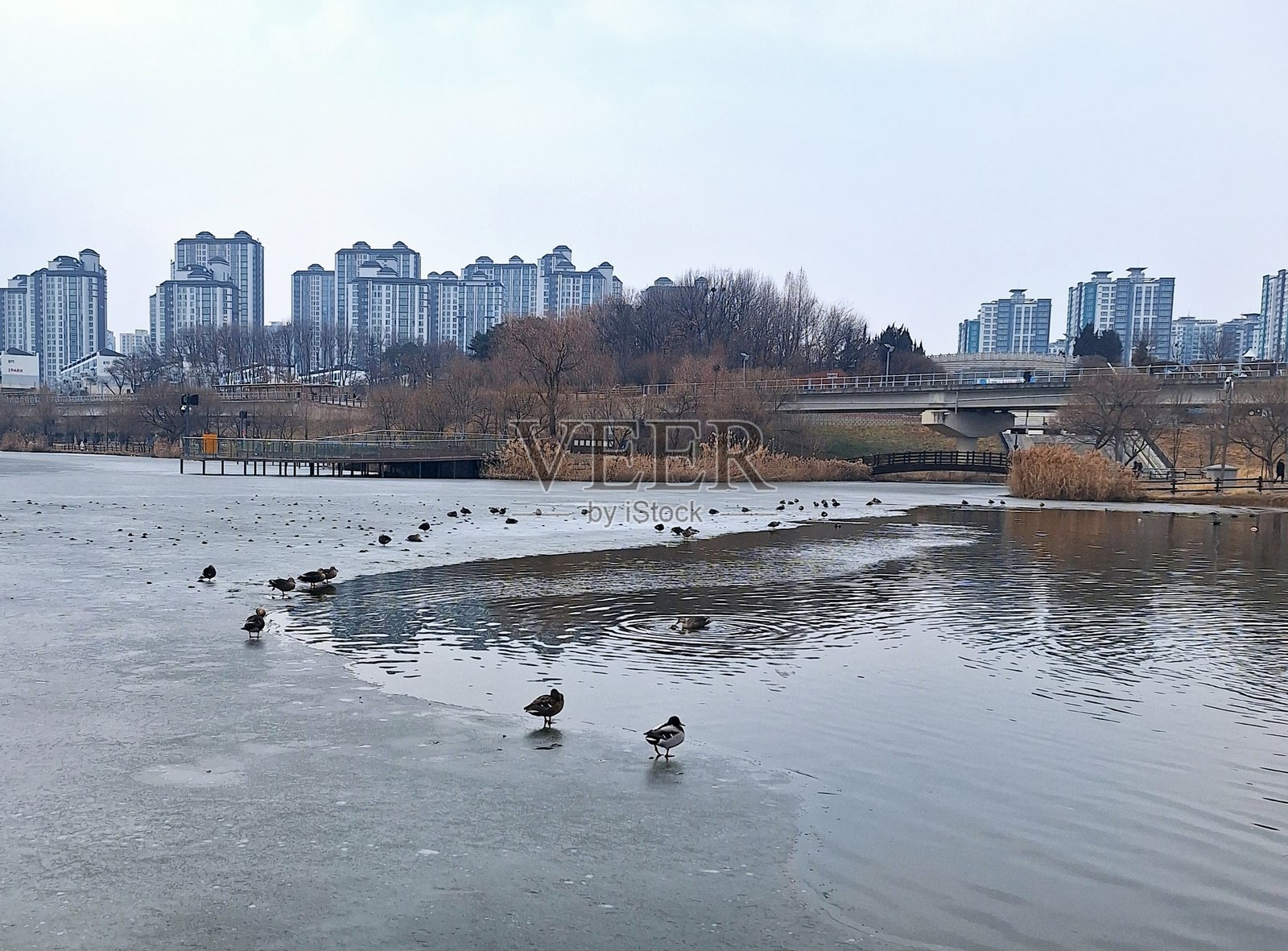 冬季湖泊照片摄影图片