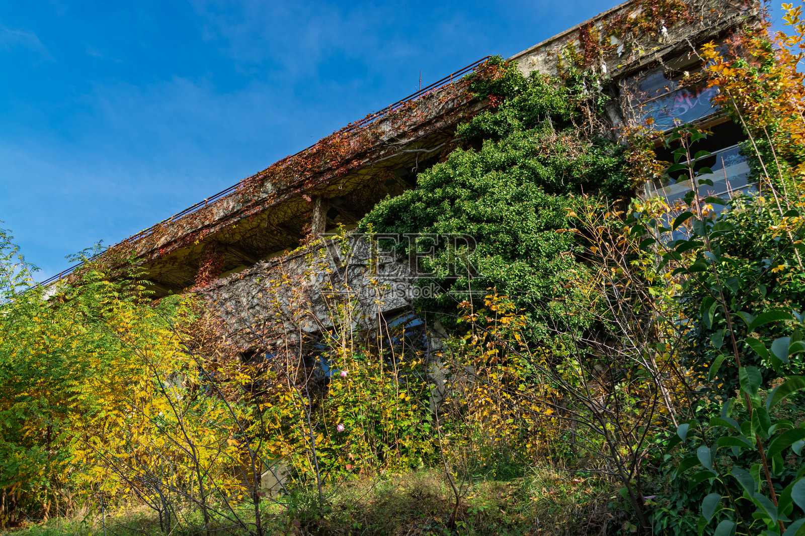 巴拉顿阿利加的废弃酒店照片摄影图片