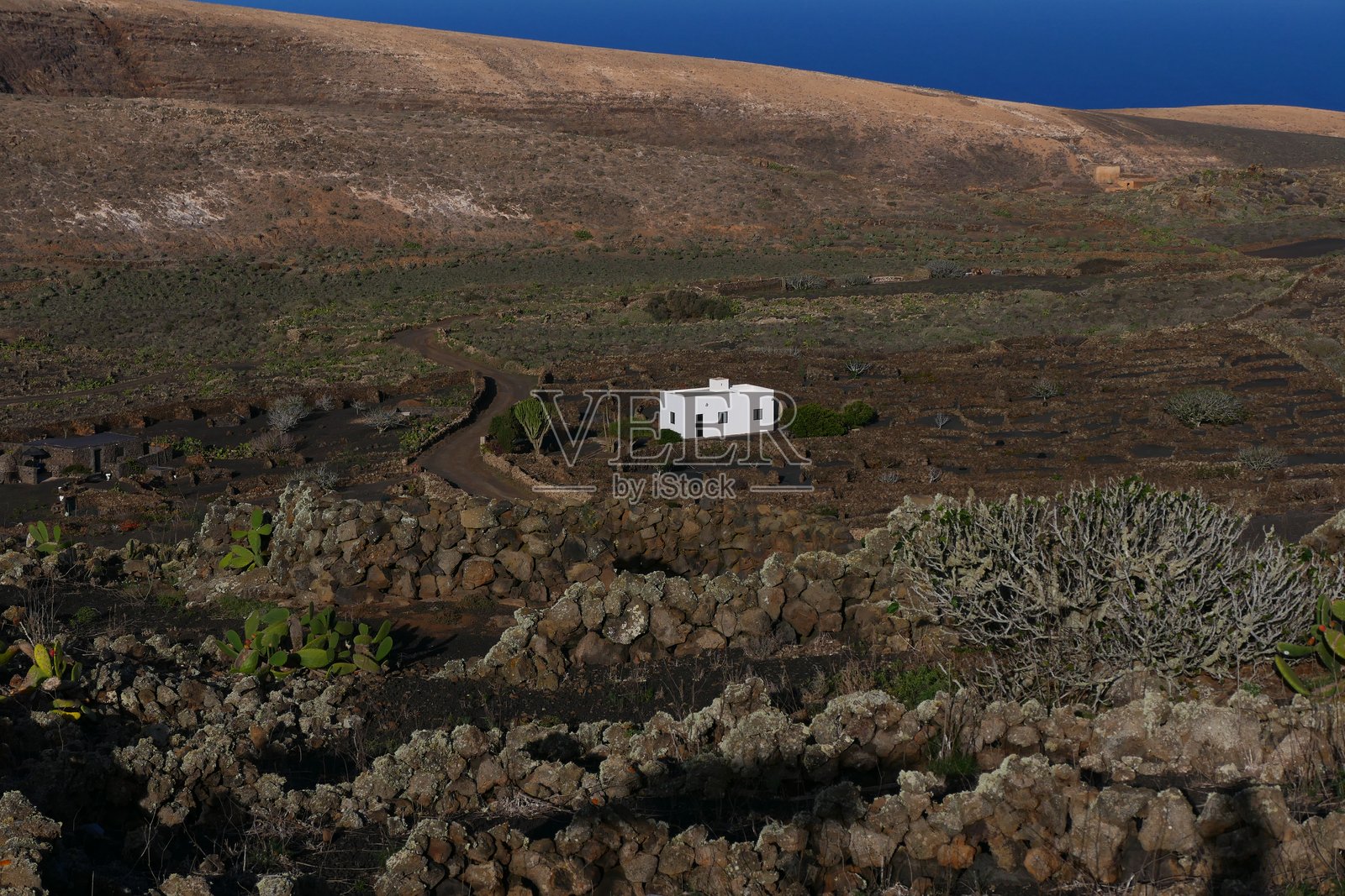 火山景观，耶地区的风景：兰萨罗特照片摄影图片