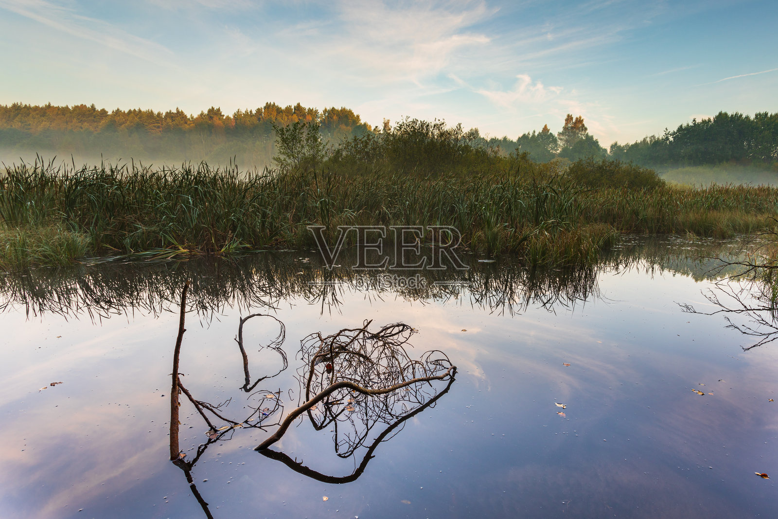 玛丽亚泉的内陆水域。波兰，格丁尼亚。照片摄影图片