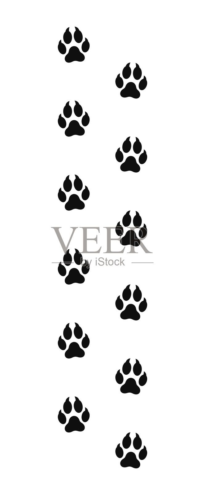 狐狸爪印矢量图。野生动物足迹插画图片素材