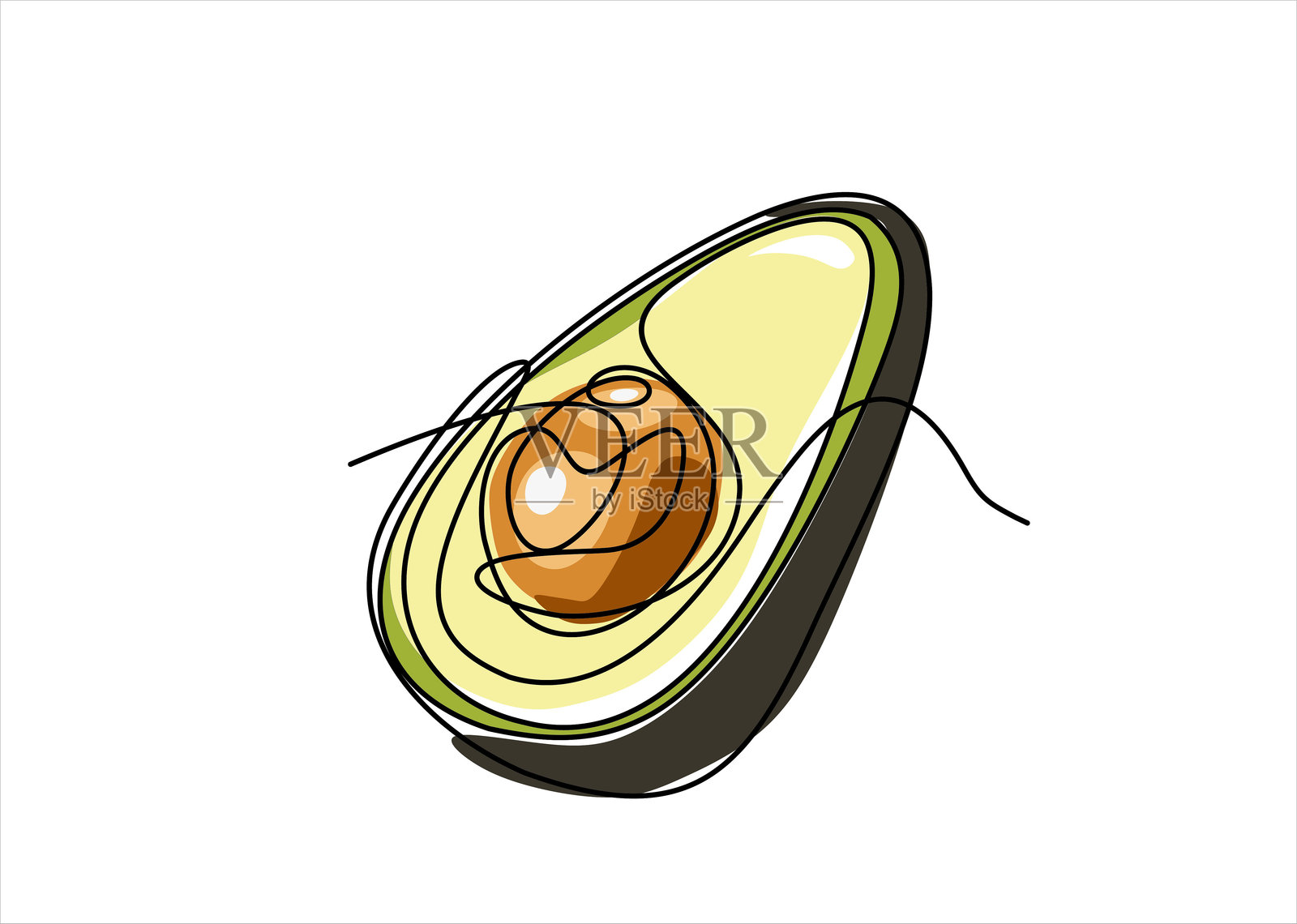 鳄梨的连续线条画。矢量插图插画图片素材