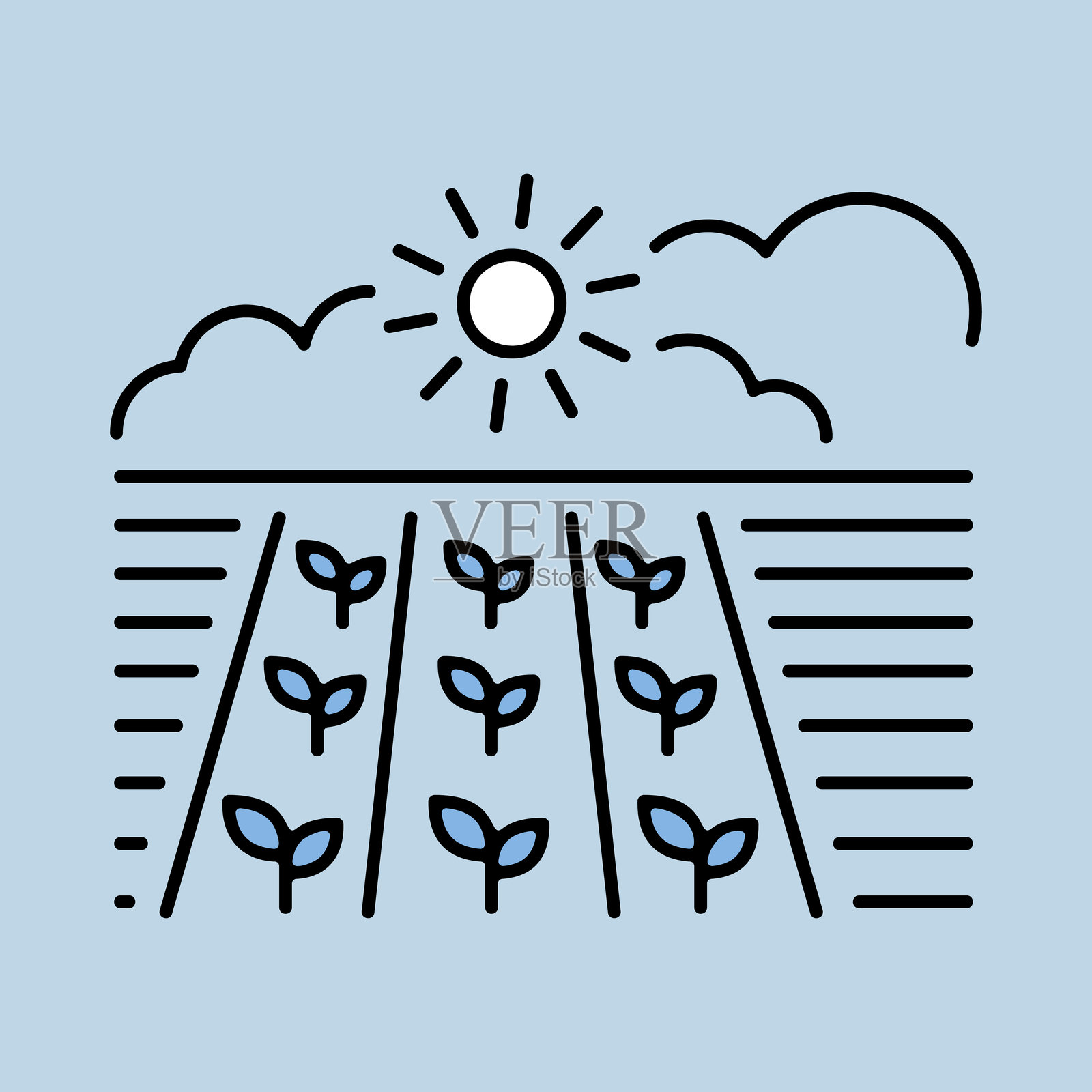 春天的田野。幼苗。绿色植物，有机农场插画图片素材