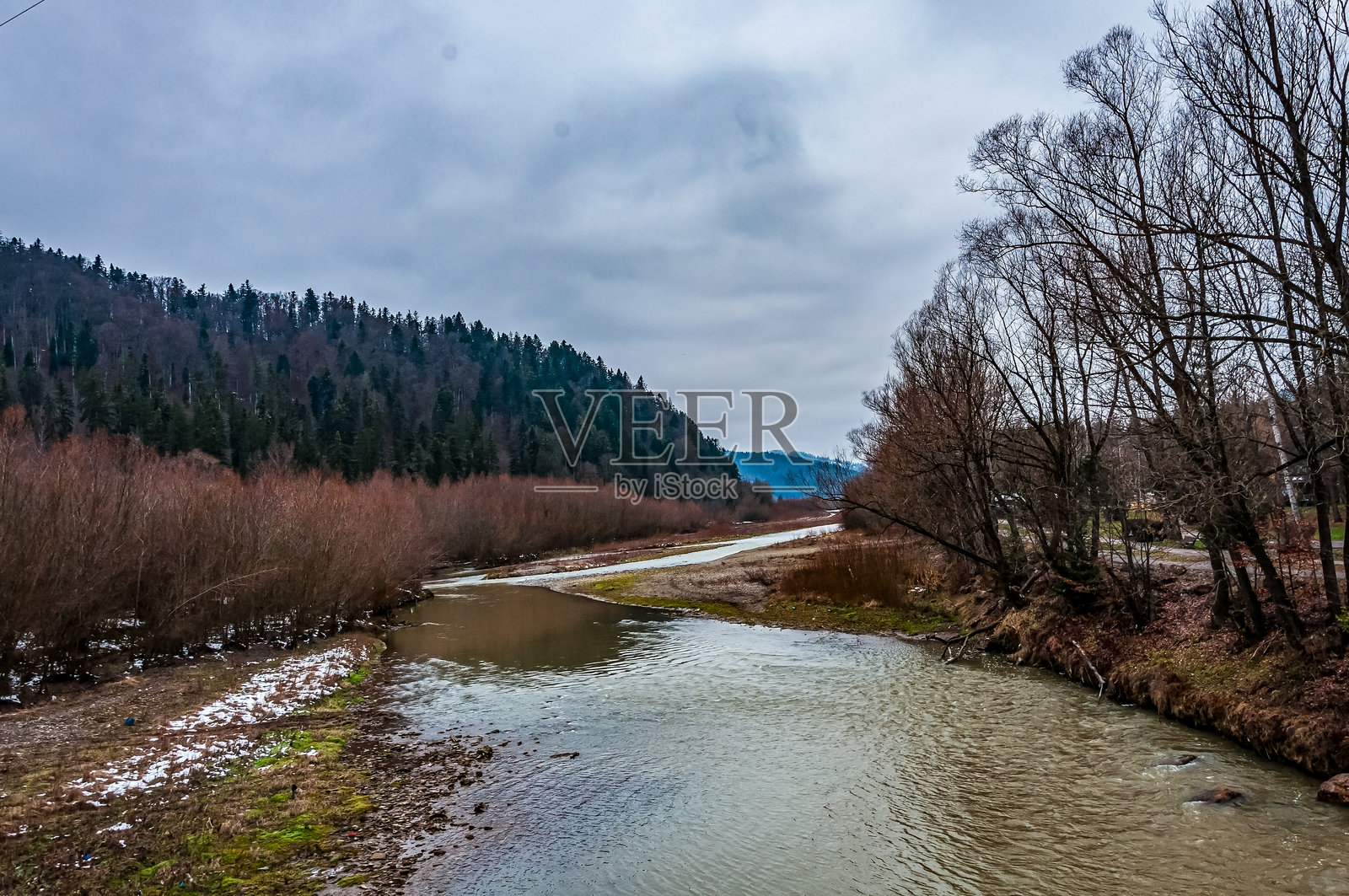 风景 - 森林 - 欧洲，罗马尼亚，苏恰瓦地区照片摄影图片