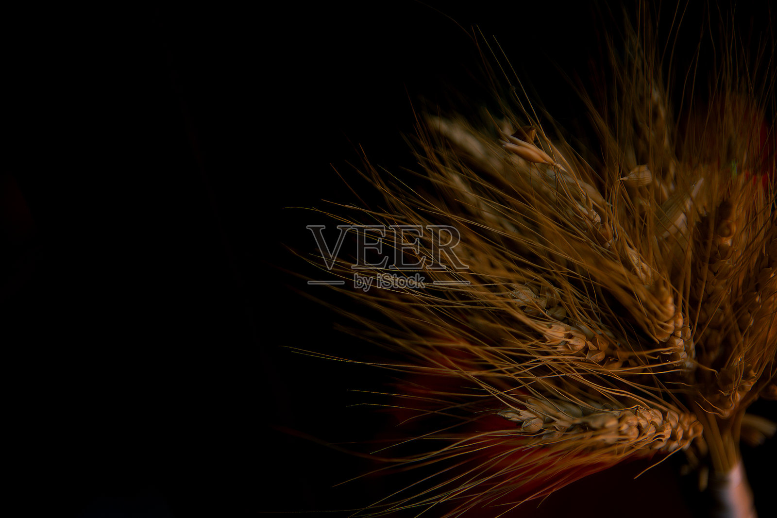 哥伦比亚波哥大 - 哥伦比亚新年传统照片摄影图片