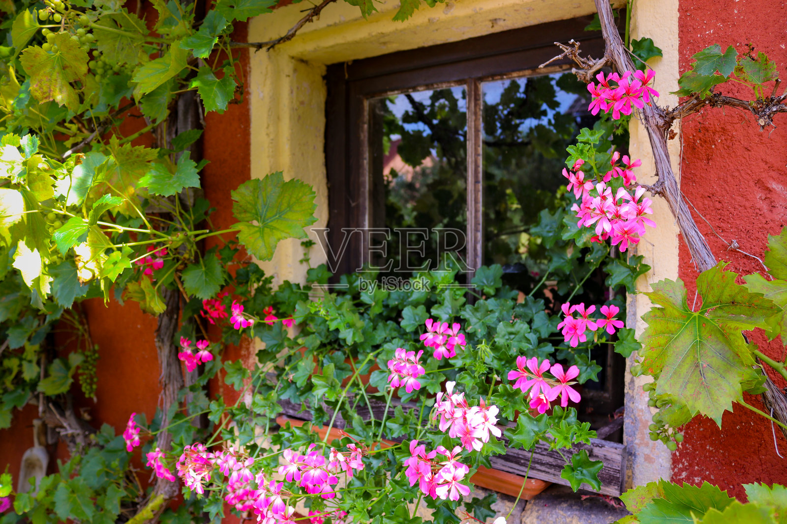乡村风格的窗户与野花照片摄影图片