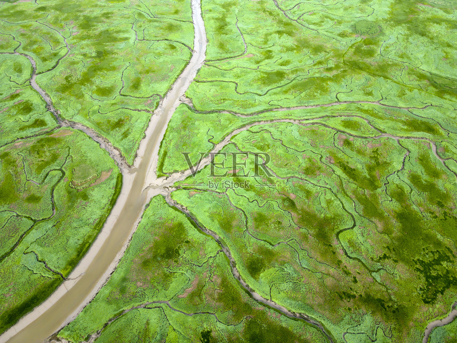 荷兰Seaftinge地区的河道和沟壑的鸟瞰图照片摄影图片