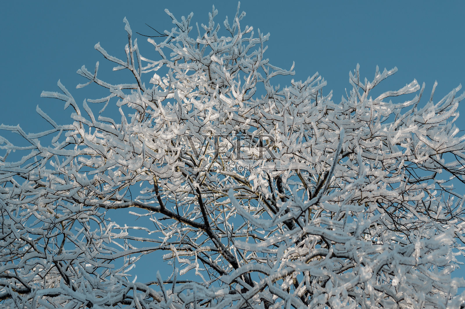 冰雪覆盖的树木与蓝天的冬季风景照片摄影图片